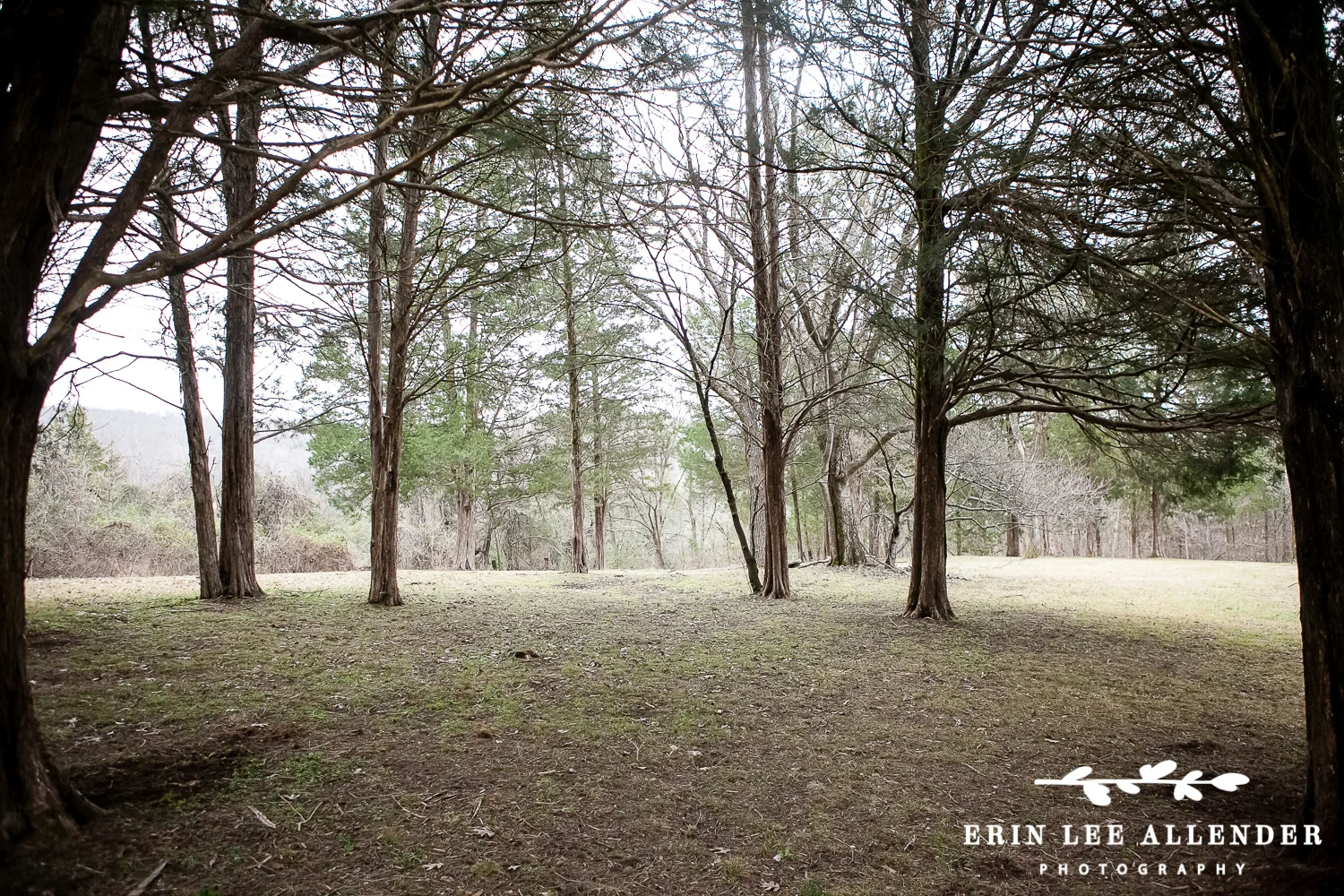 Wooded_Ceremony_Site