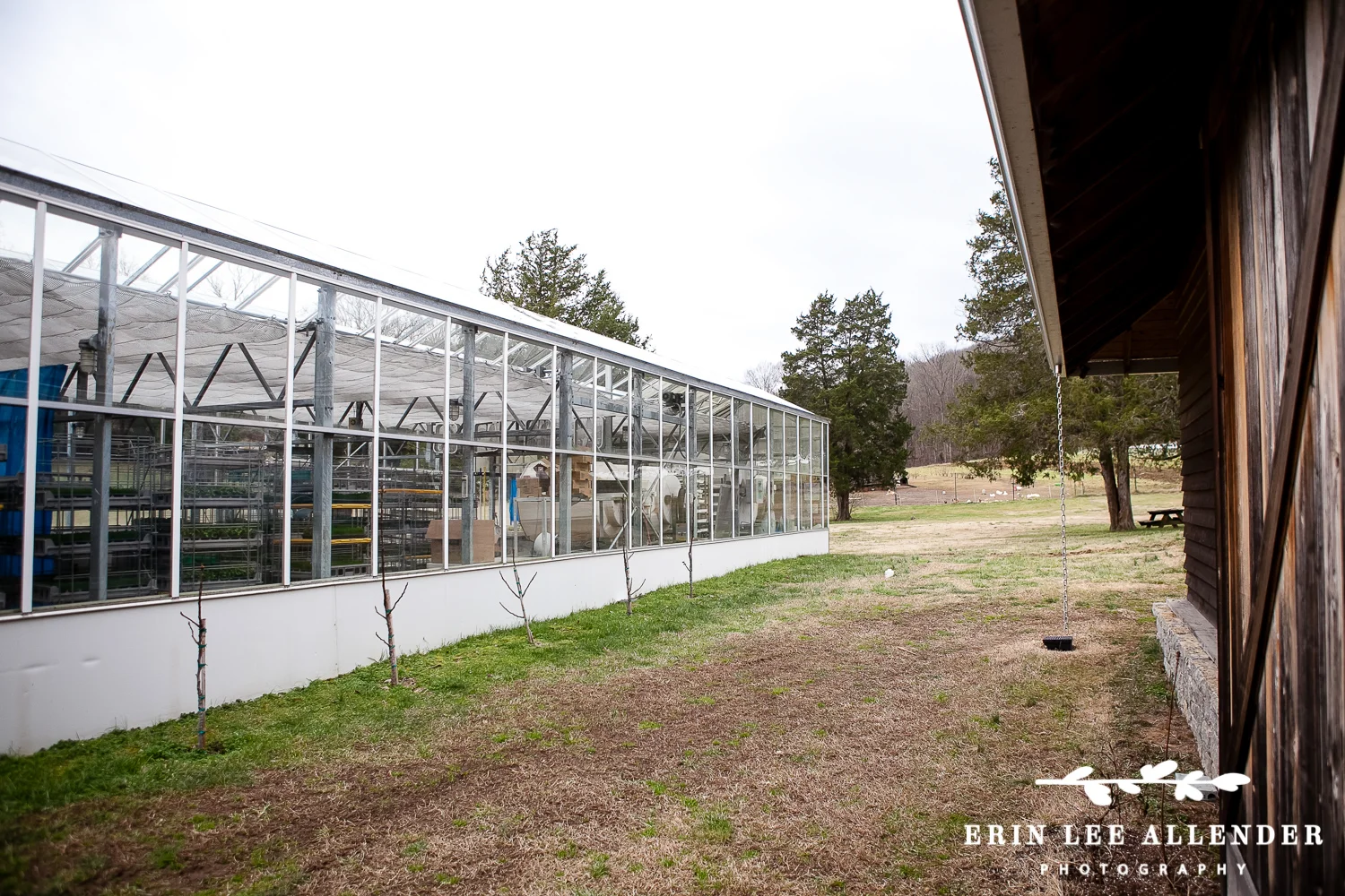 Greenhouse_Wedding