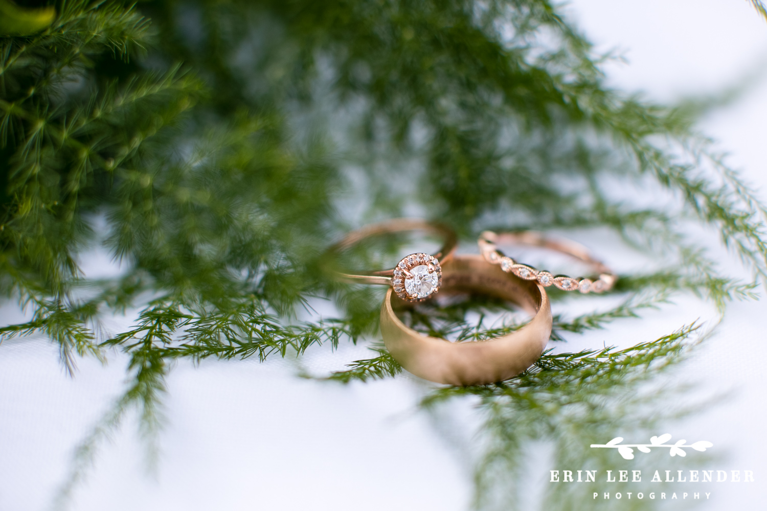 Ring_Photograph