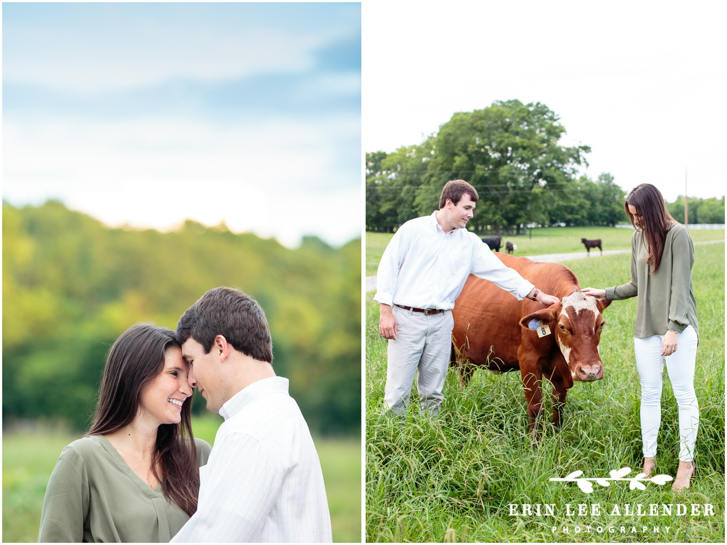 Cow_Engagement_Session