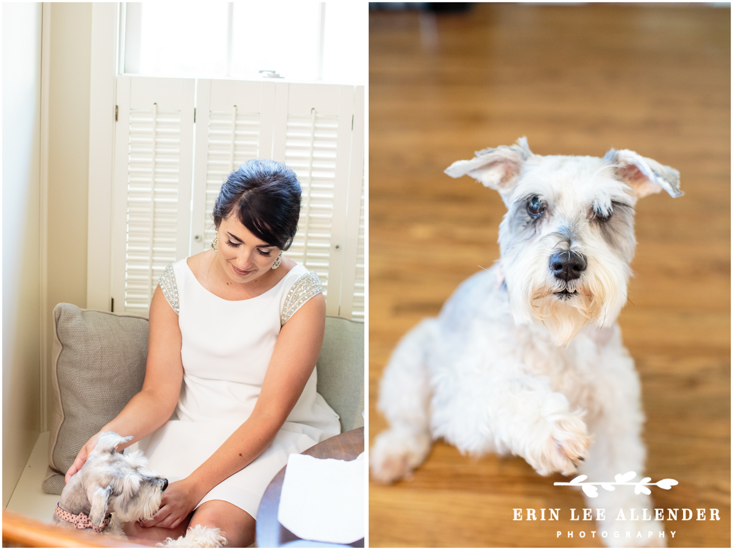 Family_Dog_At_Wedding