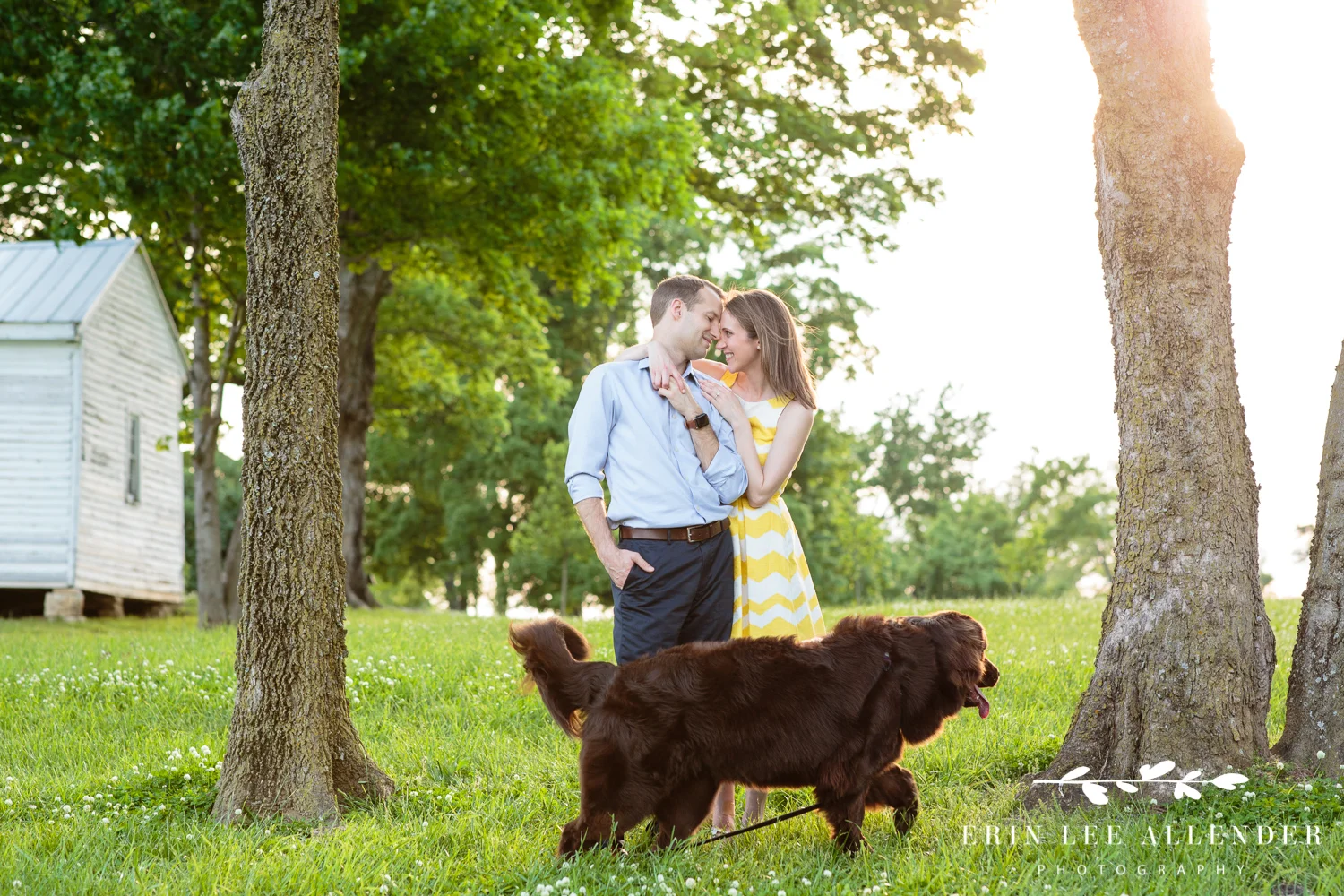 Dog_Photobombing_Engagement_Photograph