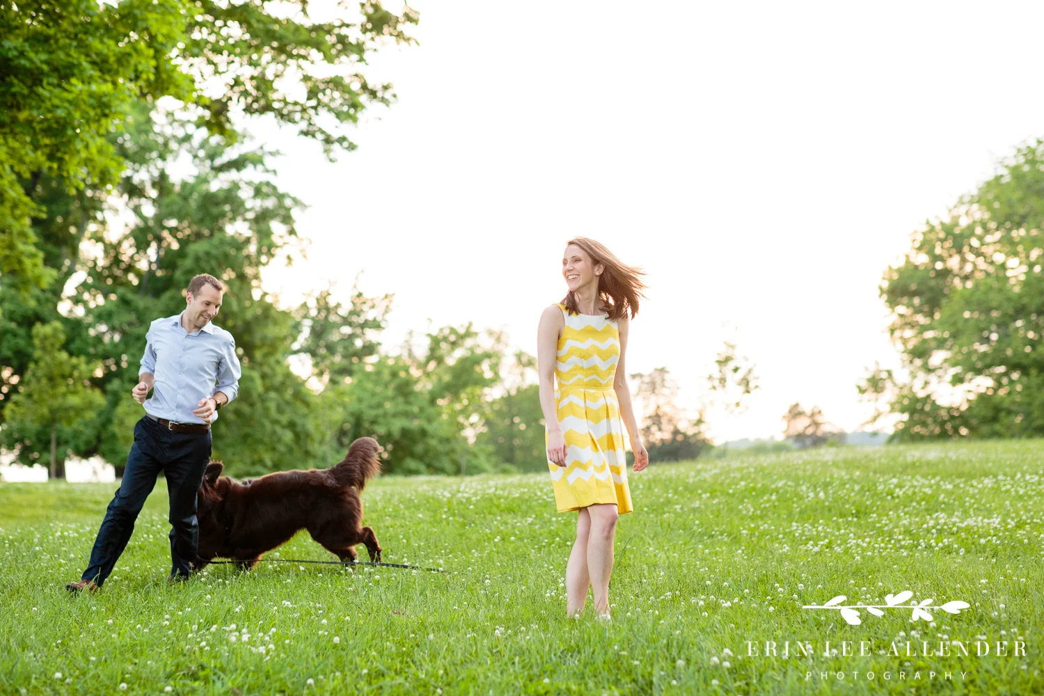 Dog_Running