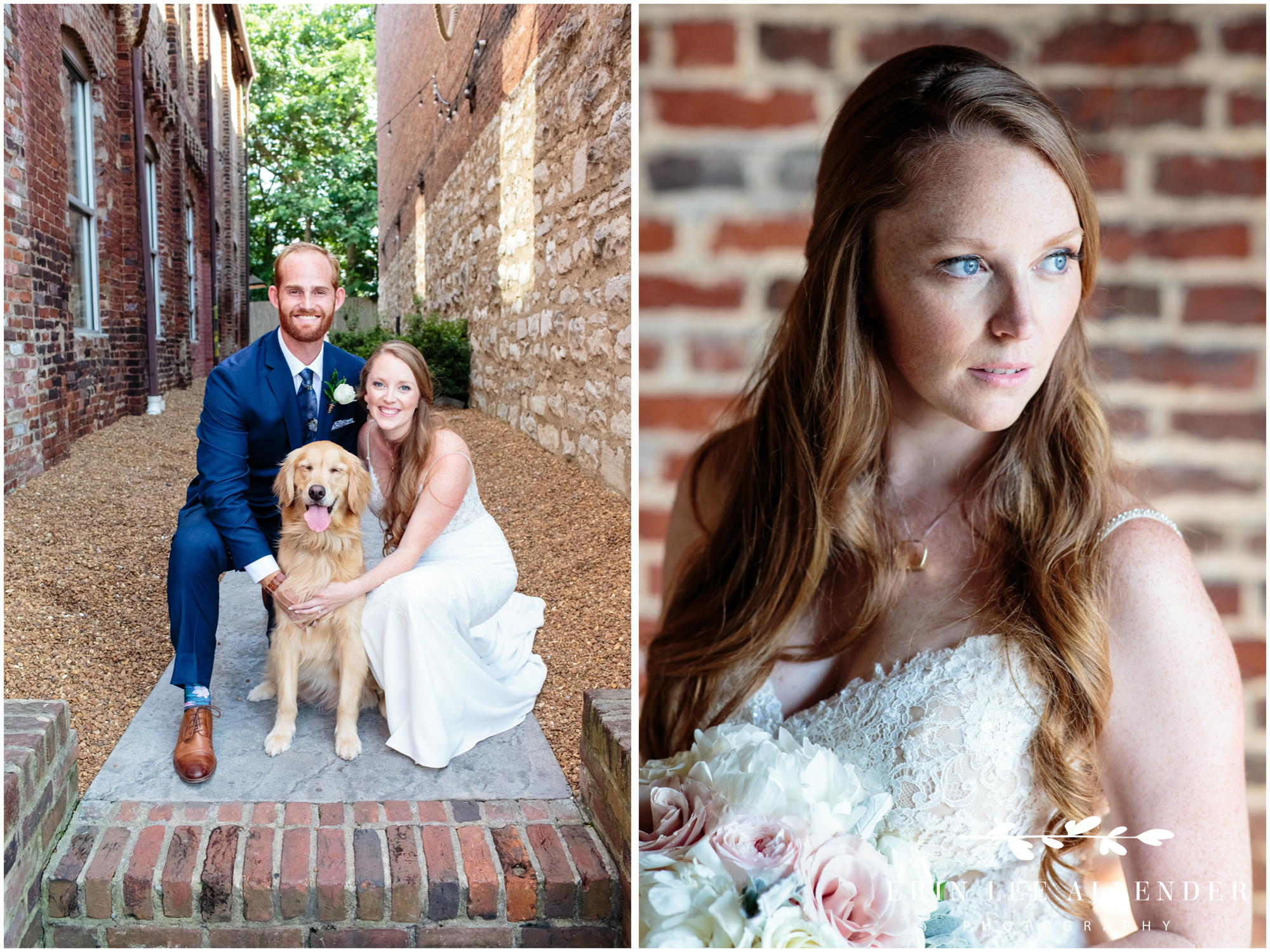dog-in-wedding