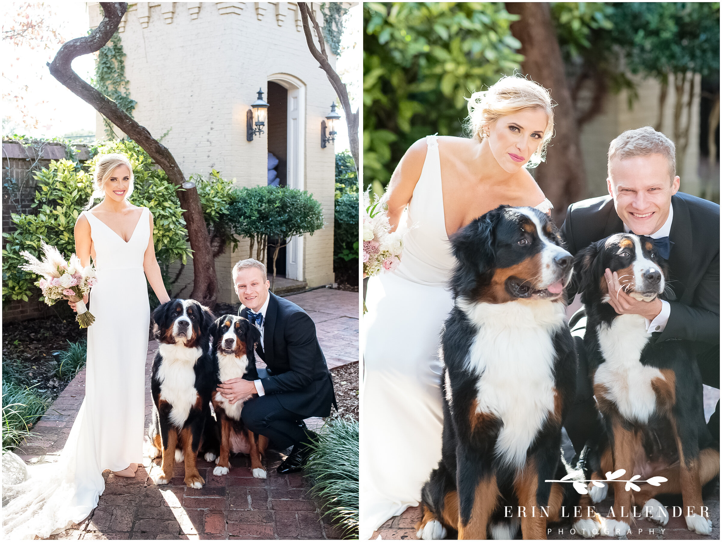 Bride-Groom-With-Dogs
