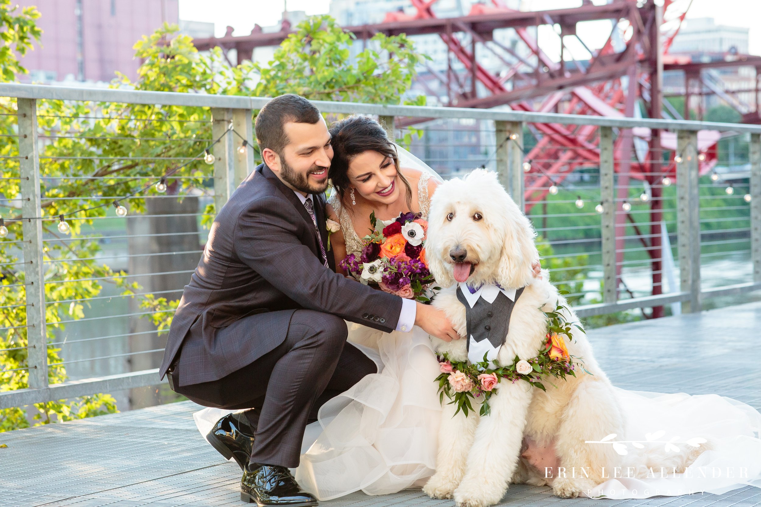 Dog_At_Wedding