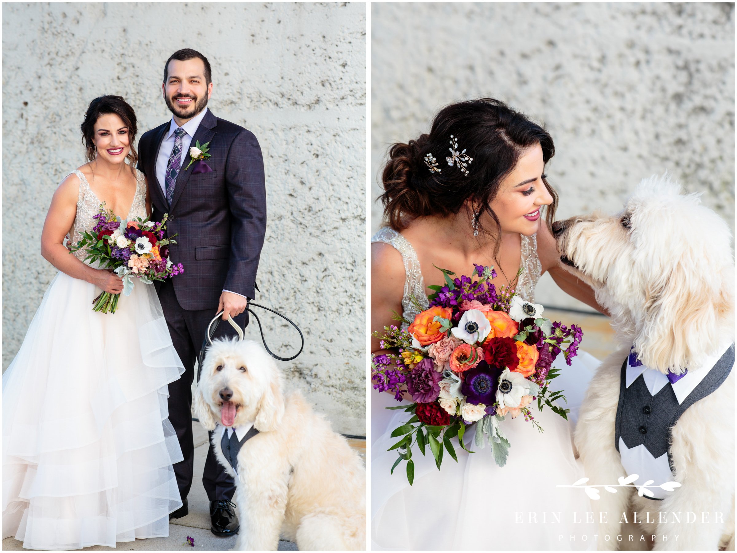 Dog_At_Wedding
