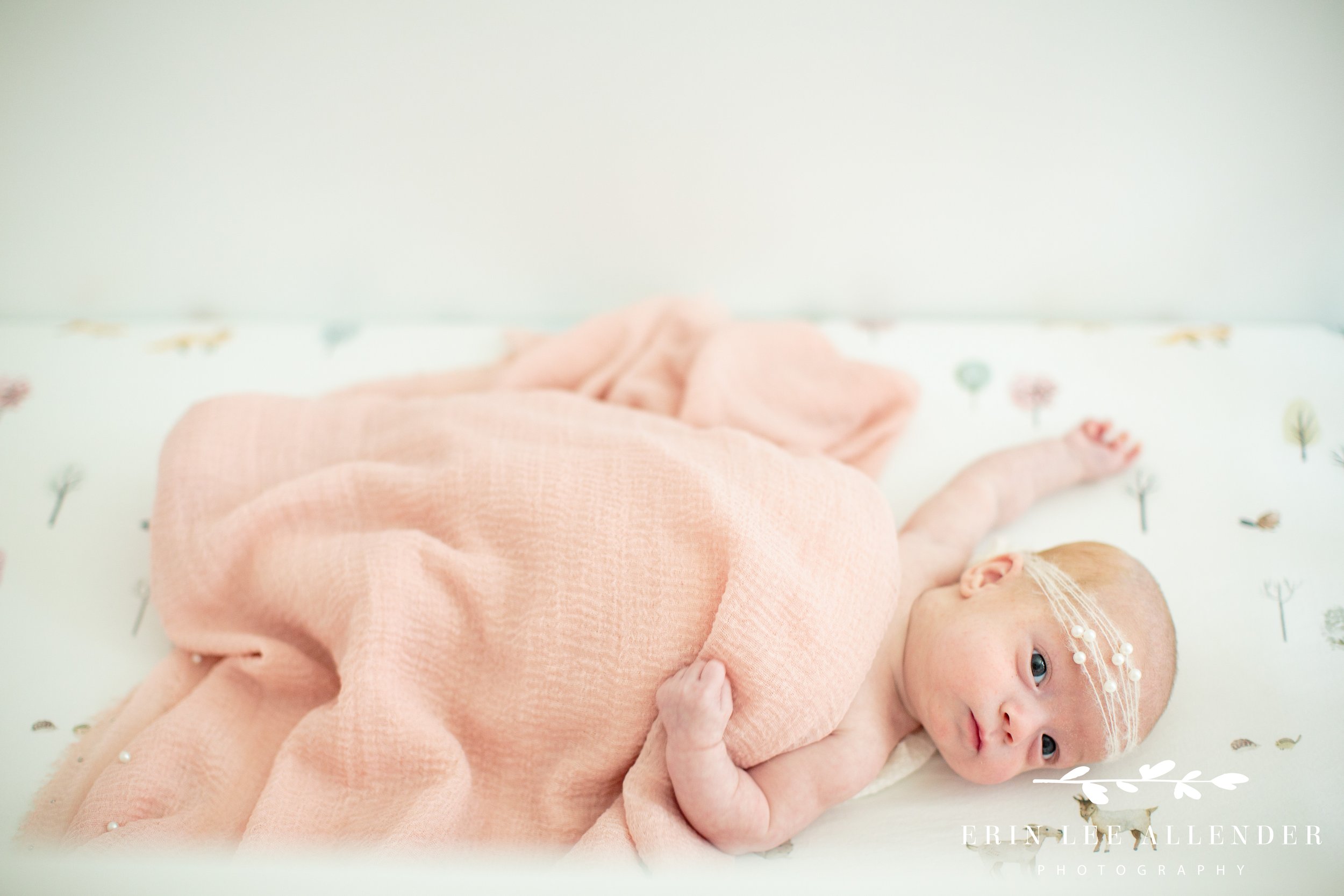 Nashville-Newborn-Photography