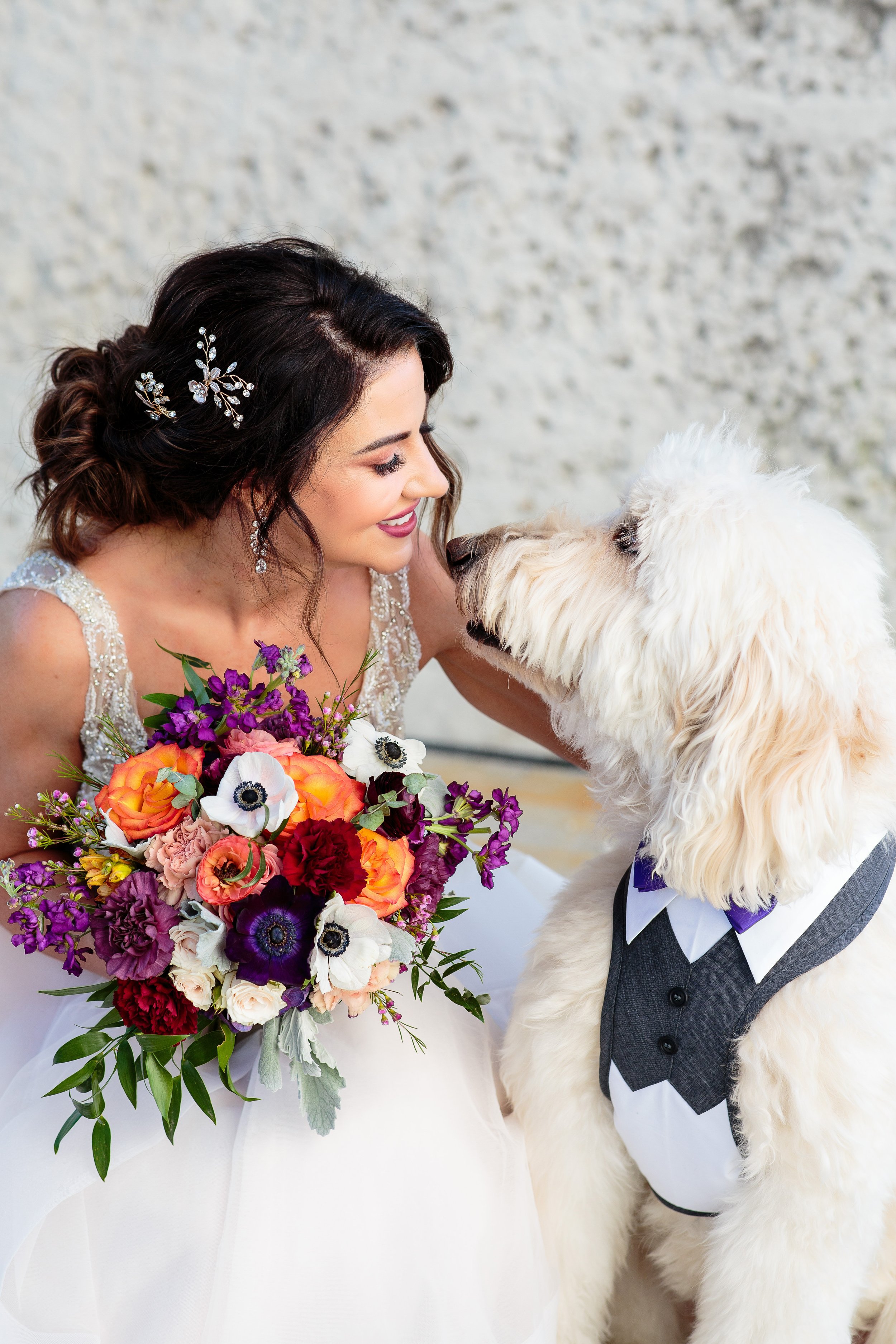 nashville-bride-with-dog