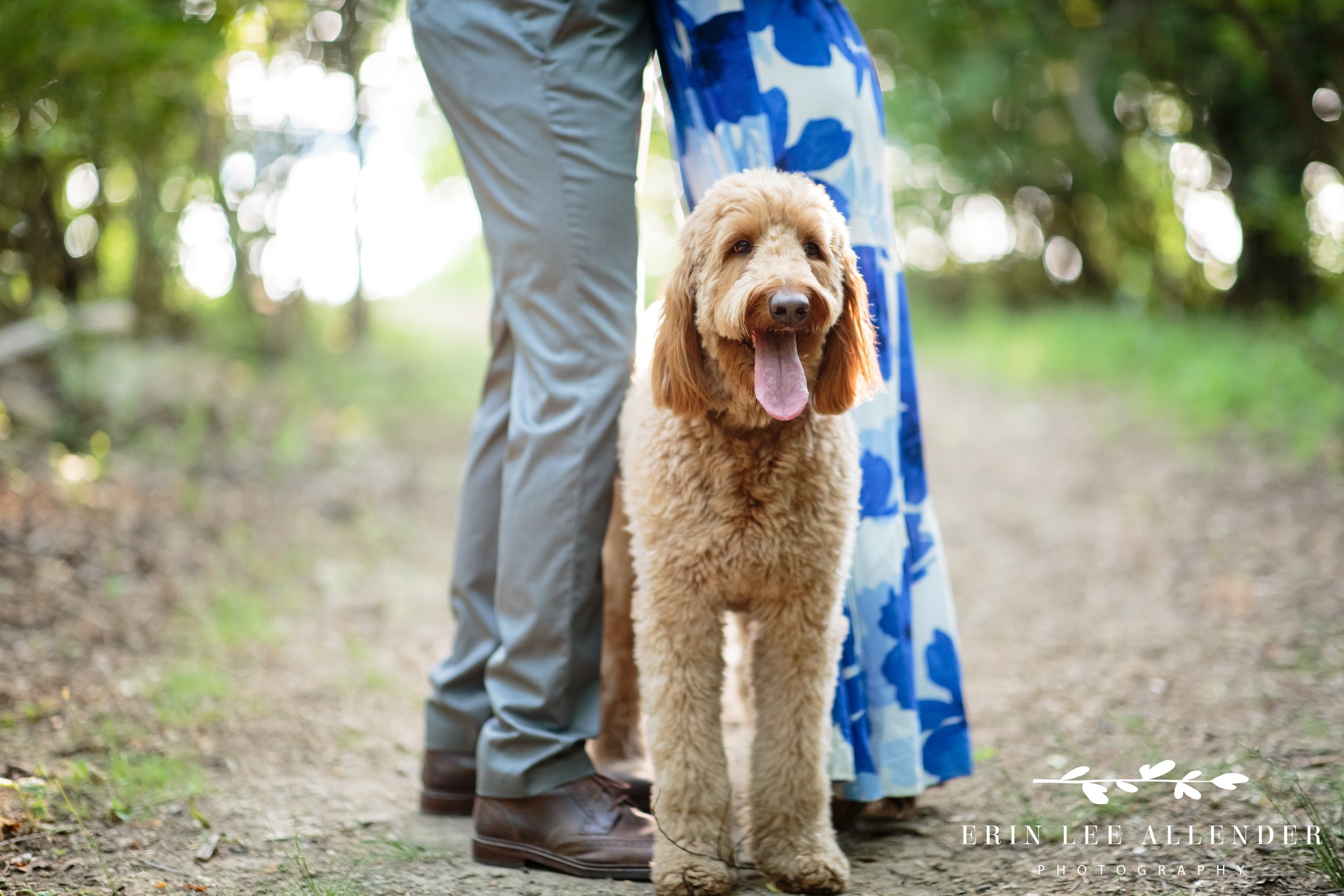 Dog-in-engagement-session