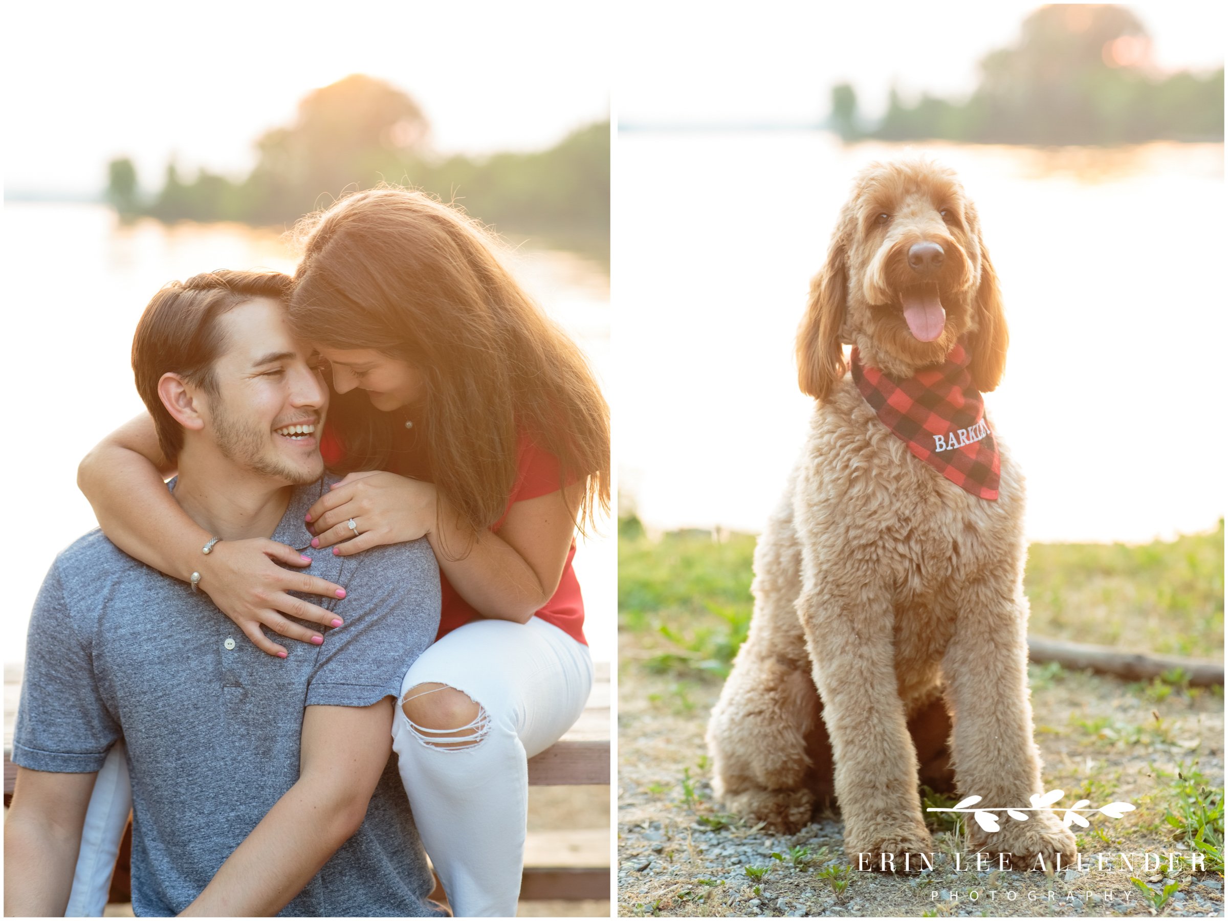 dog-engagement-session