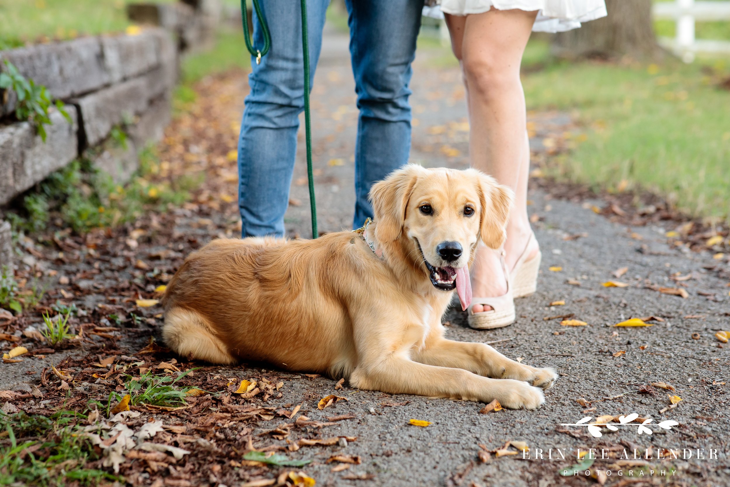 Engagement-Photography-Dog