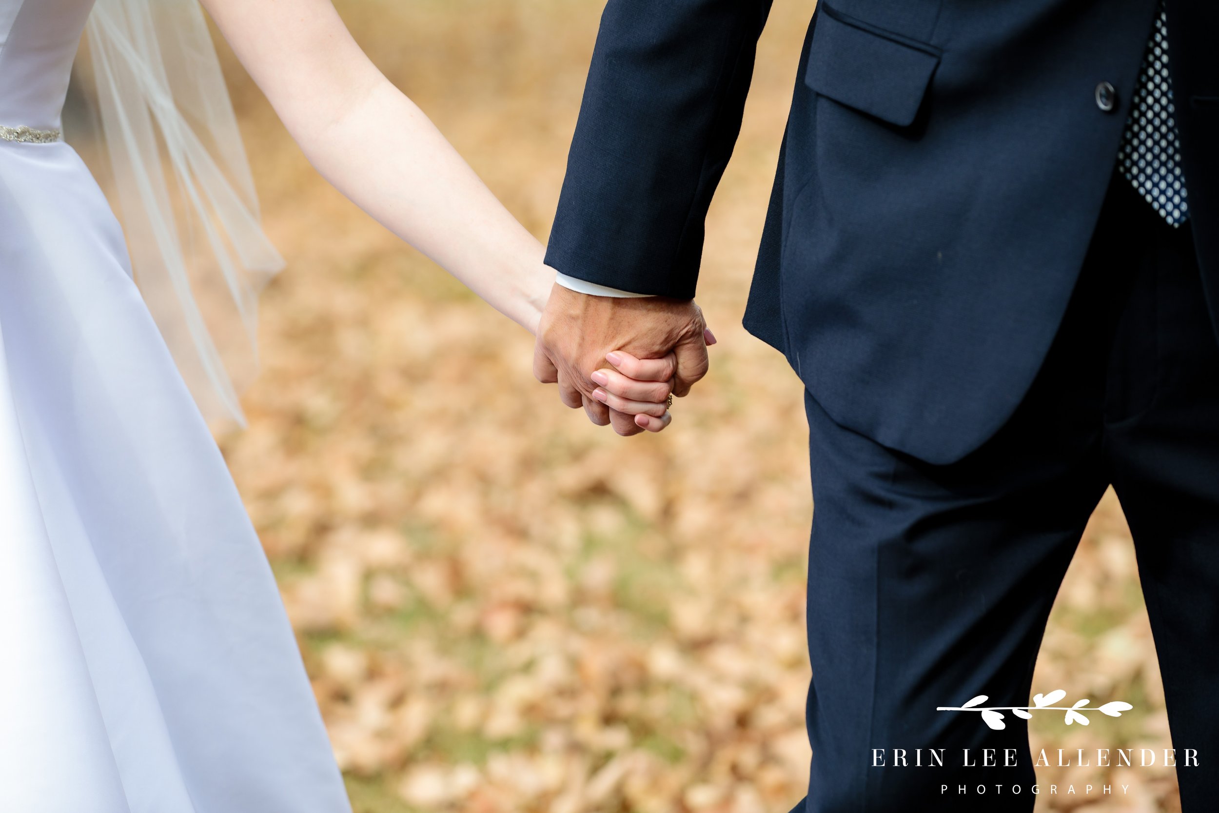 father-bride-holding-hands