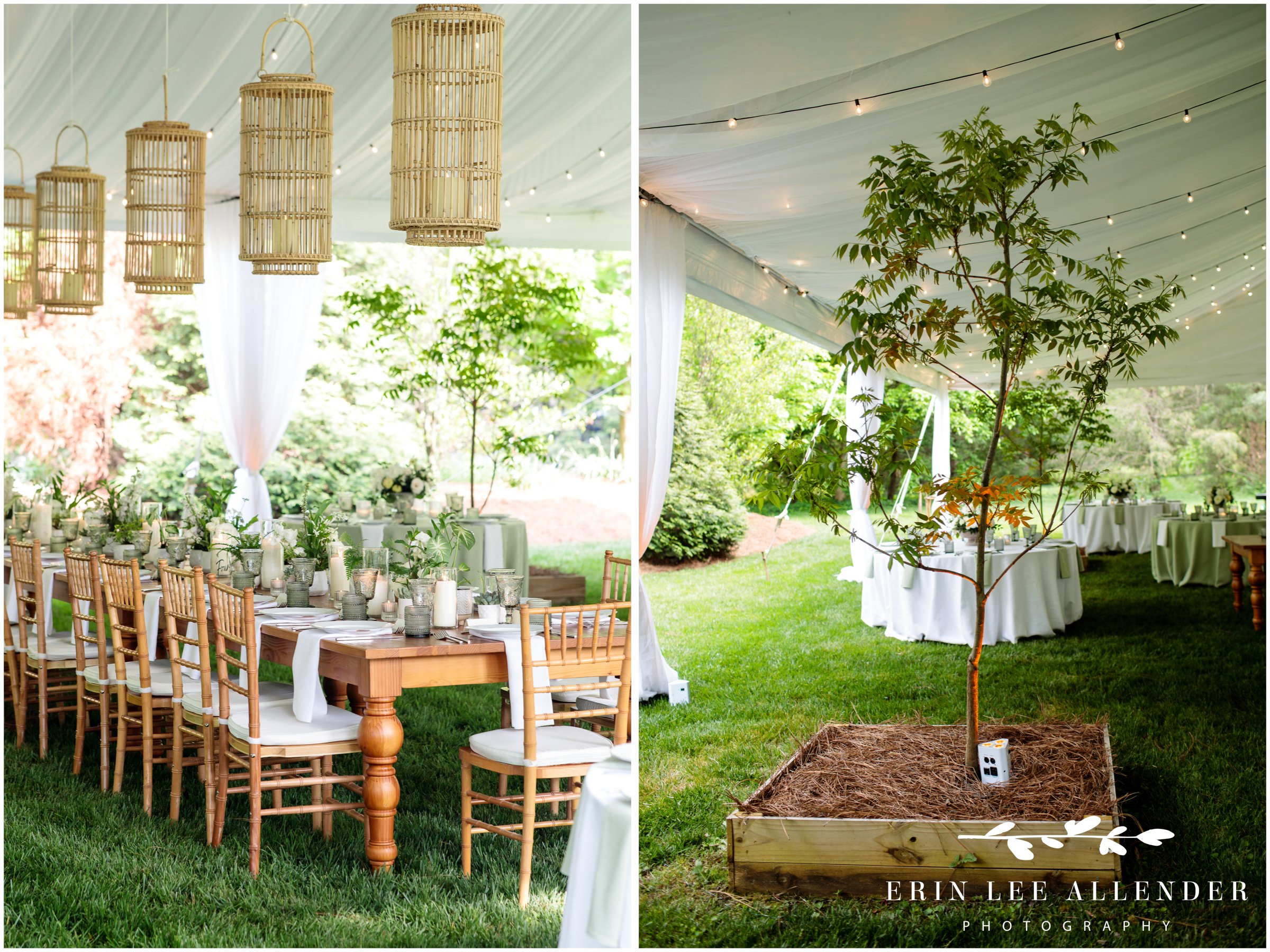 backyard-nashville-wedding-reception