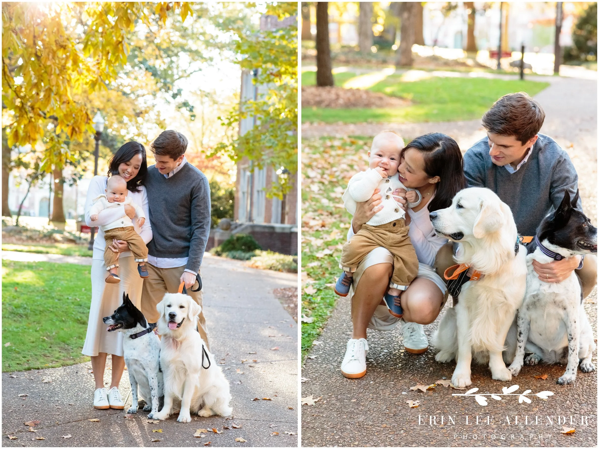Family’s two dogs exploring and interacting during a Vanderbilt campus family photography session.