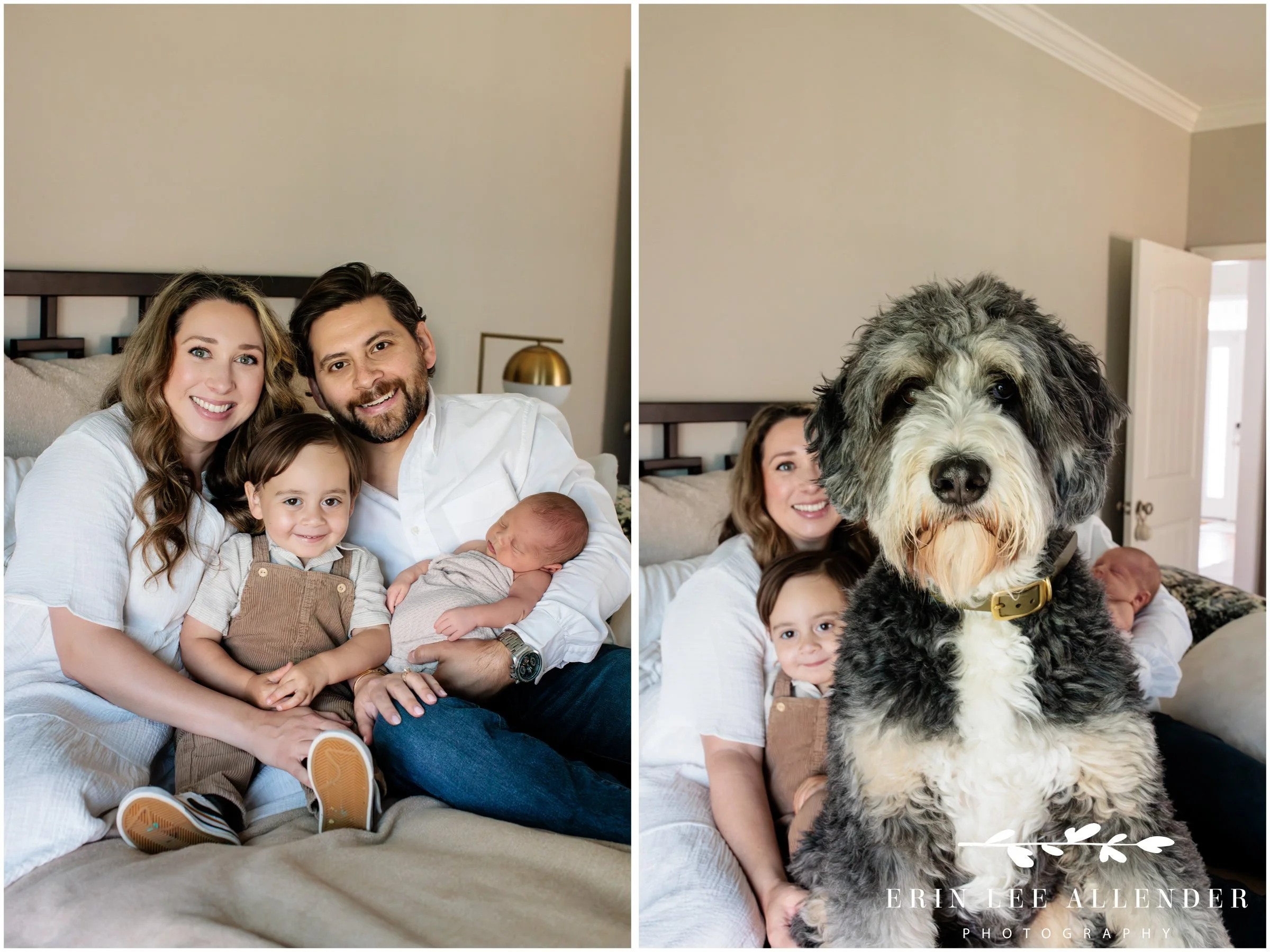 Nashville family photographer — full family portrait with mom, dad, toddler, newborn baby girl, and aussiedoodle photobombing