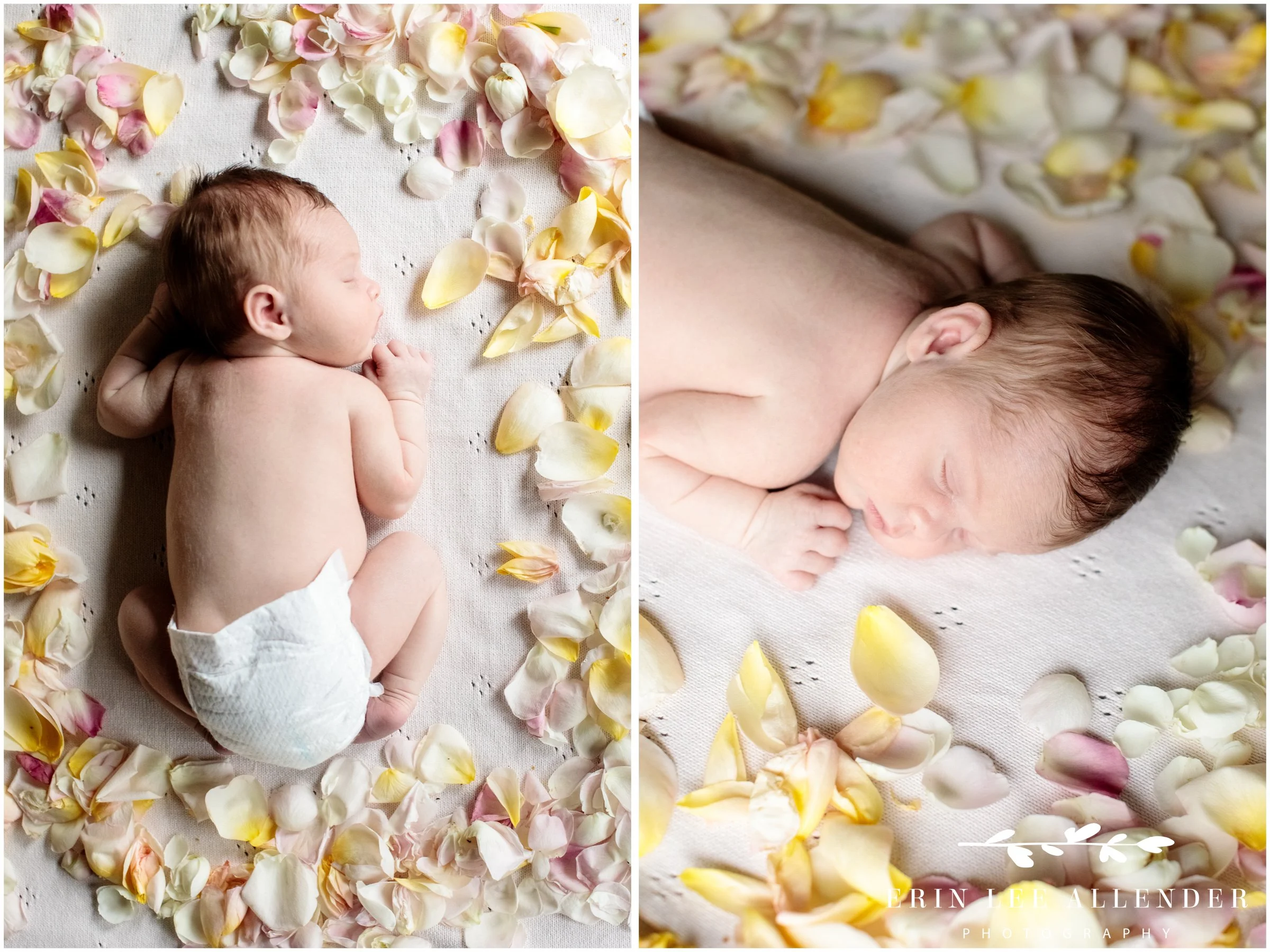 Newborn baby lying in flower petals during an in-home Nashville family photography session.
