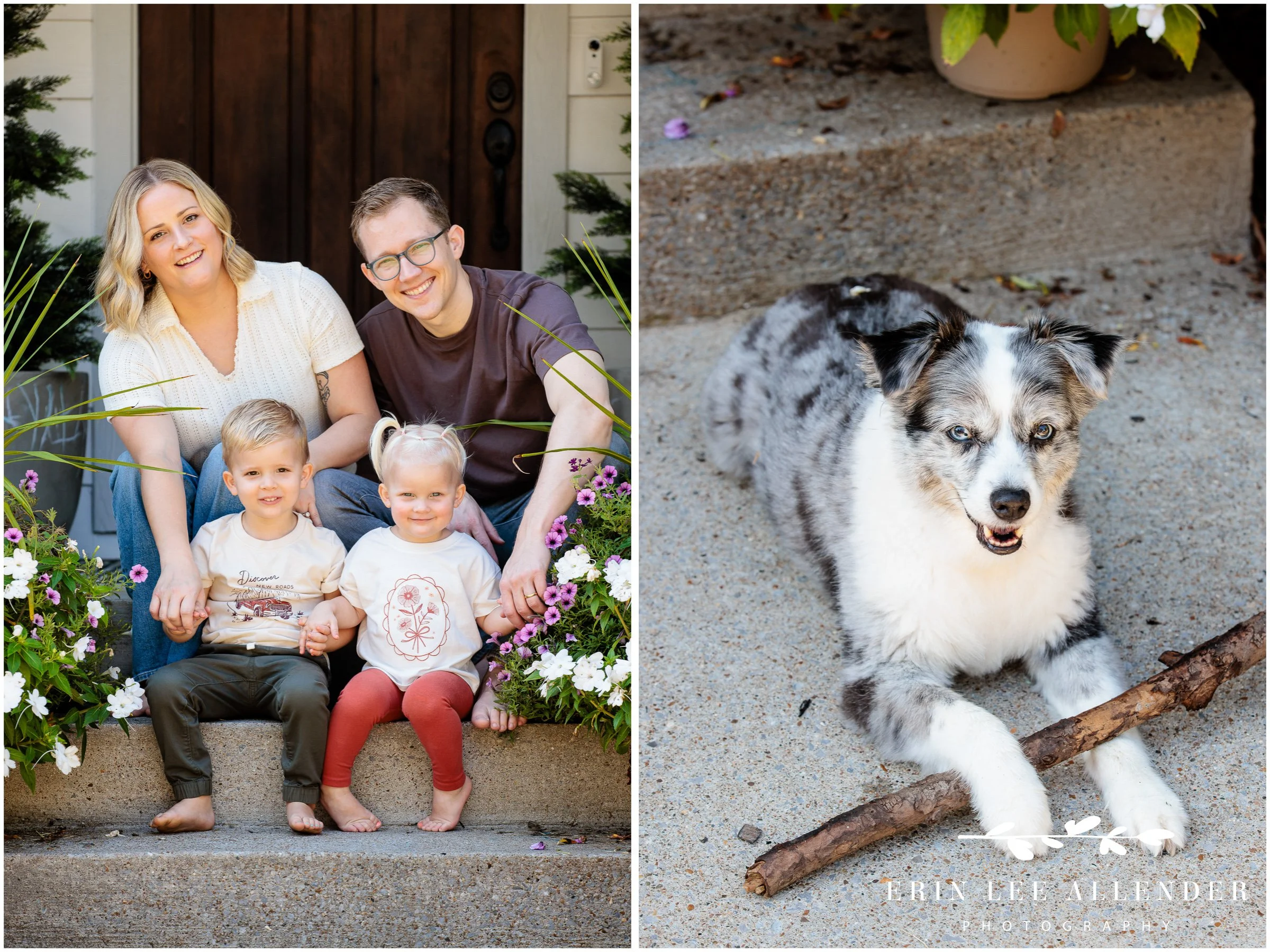 Family dog with stick at in-home nashville family session