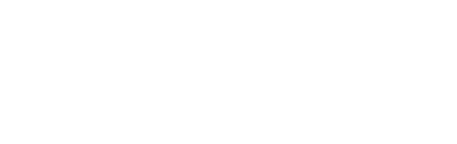 Erin Lee Allender Photography