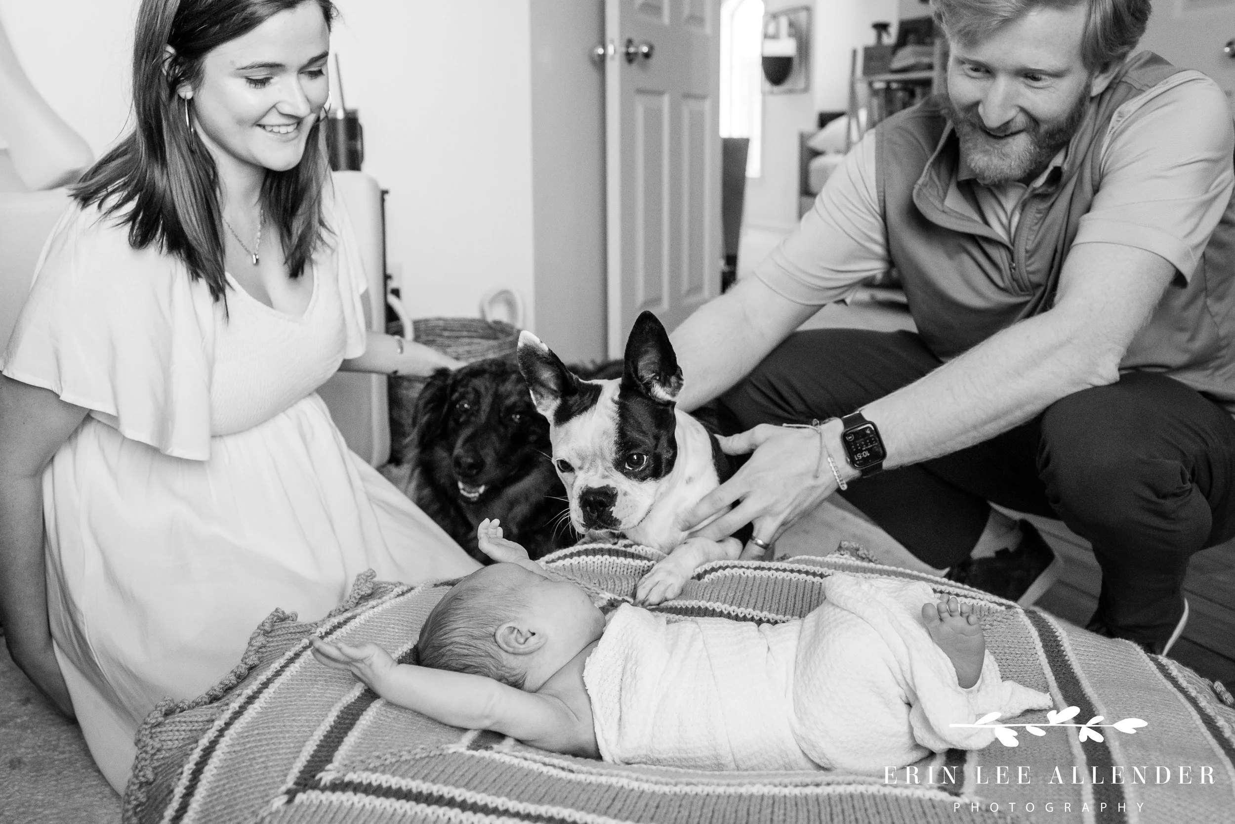 Family dogs curiously checking out the new baby during Nashville family photography session in East Nashville