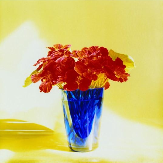 Peter C. Jones, Empress Nasturtiums , 2005 Exhibition: Peter C. Jones, 18 Still Lives , June 6 - July 25, 2015, 