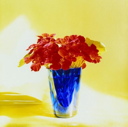 Peter C. Jones, Empress Nasturtiums , 2005. Catalogue for KMR Arts Exhibition: Peter C. Jones, 18 Still Lives , June 6 - July 25, 2015. Catalogue Design by Allison Wucher, Silverpoint Fine Art