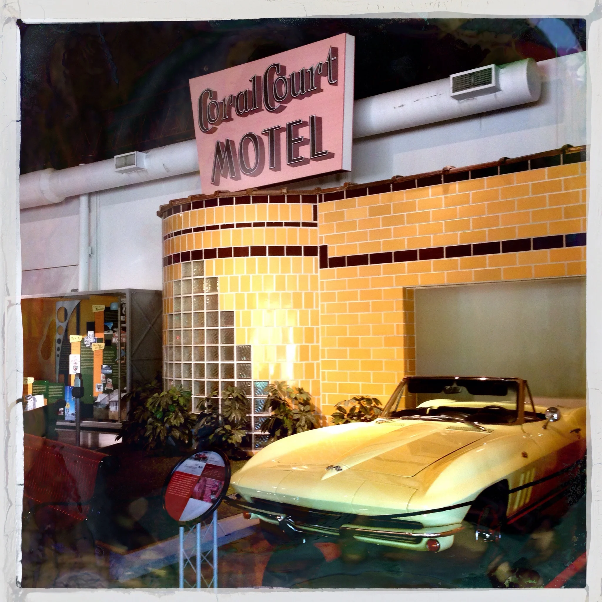 IPhone6SPlus41916 1207.JPG