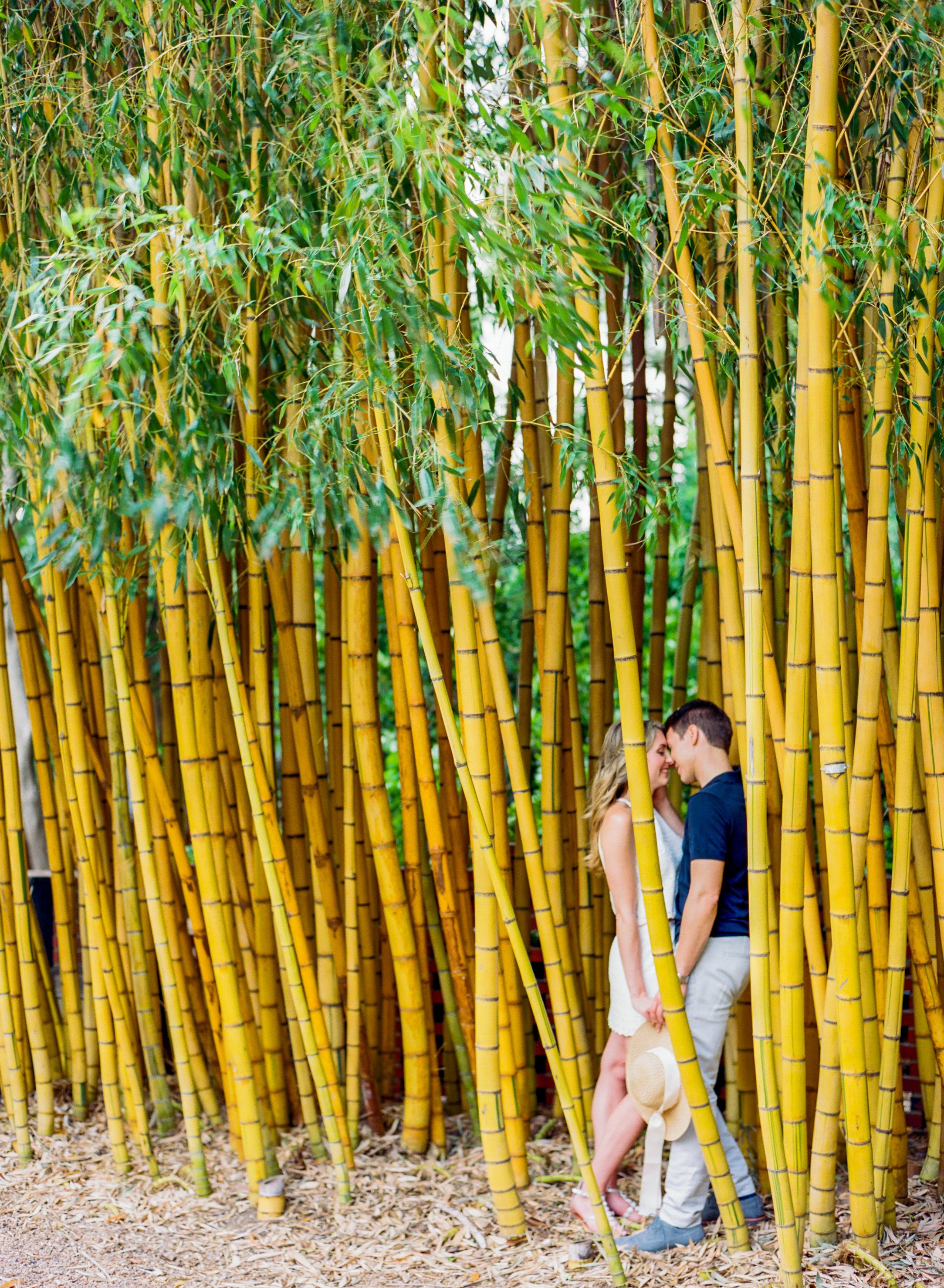  Blair + Phillip in the bamboo - © Lauren Rosenau Photography 