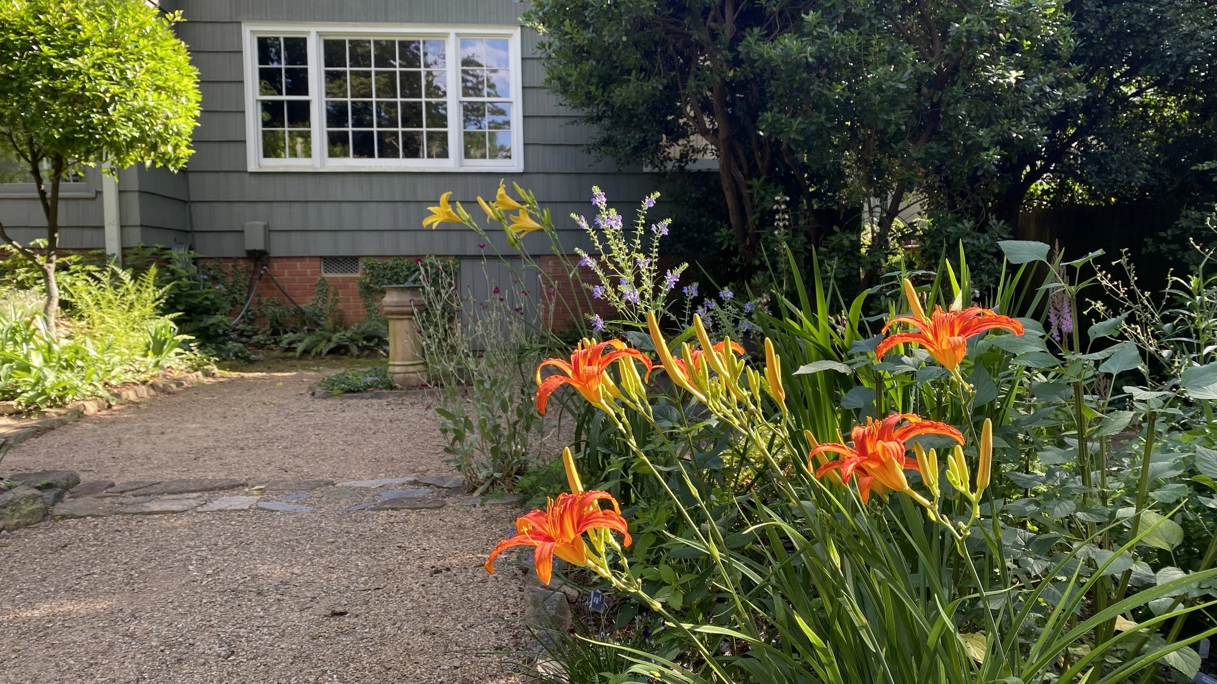 It's all about the daylilies, Part 1
