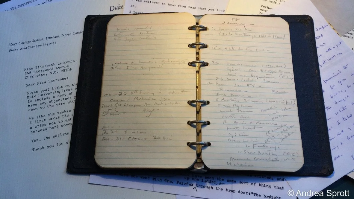 Bloom Journals + Winter Weather