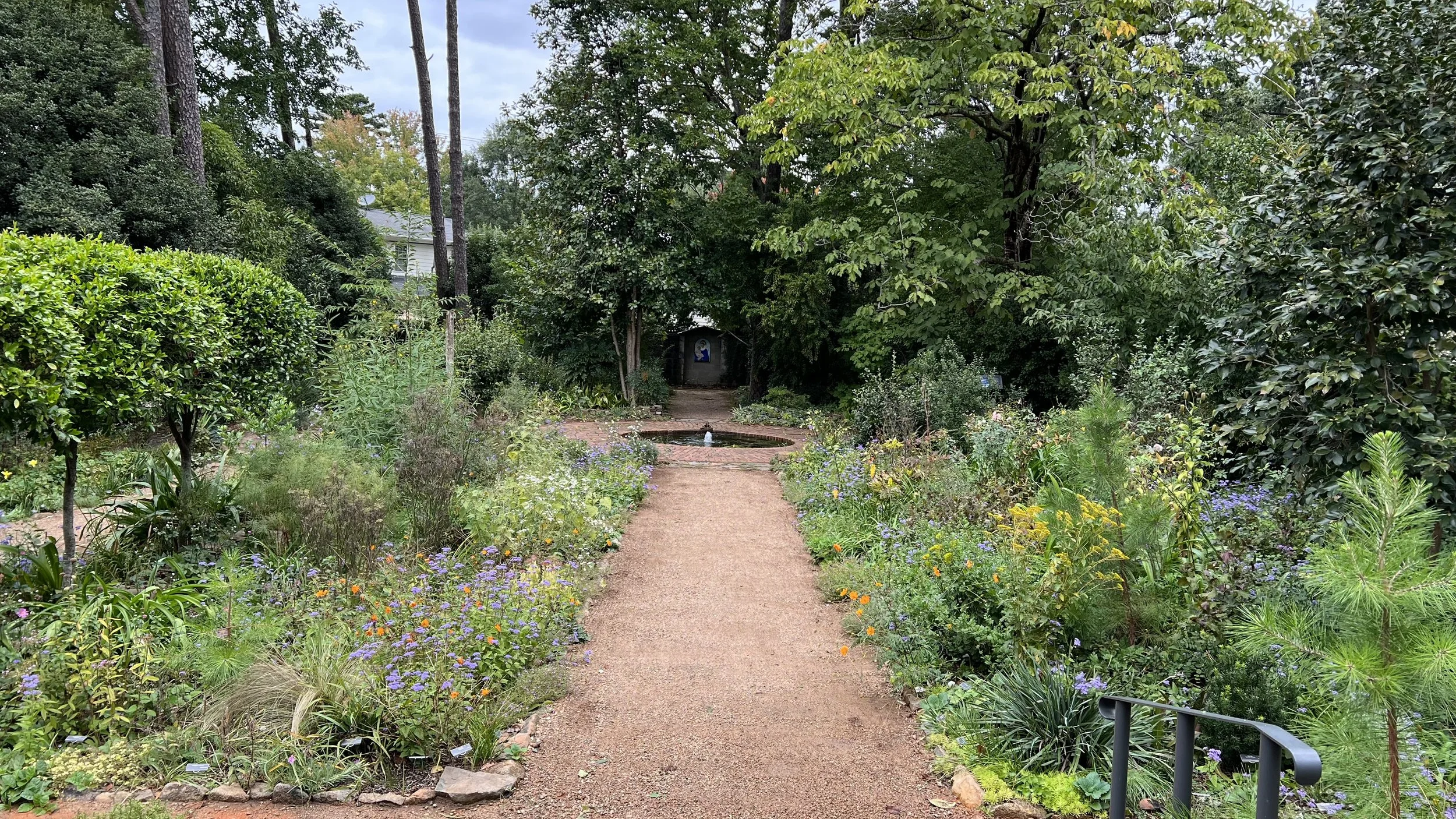 Let's Walk and Talk Plants