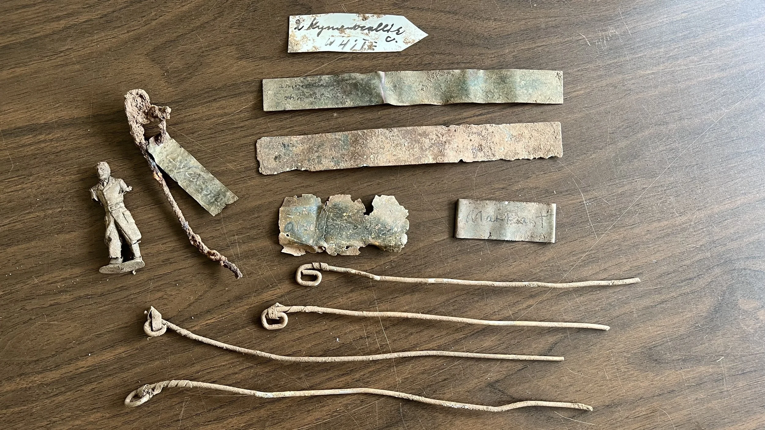 Surprise Discoveries