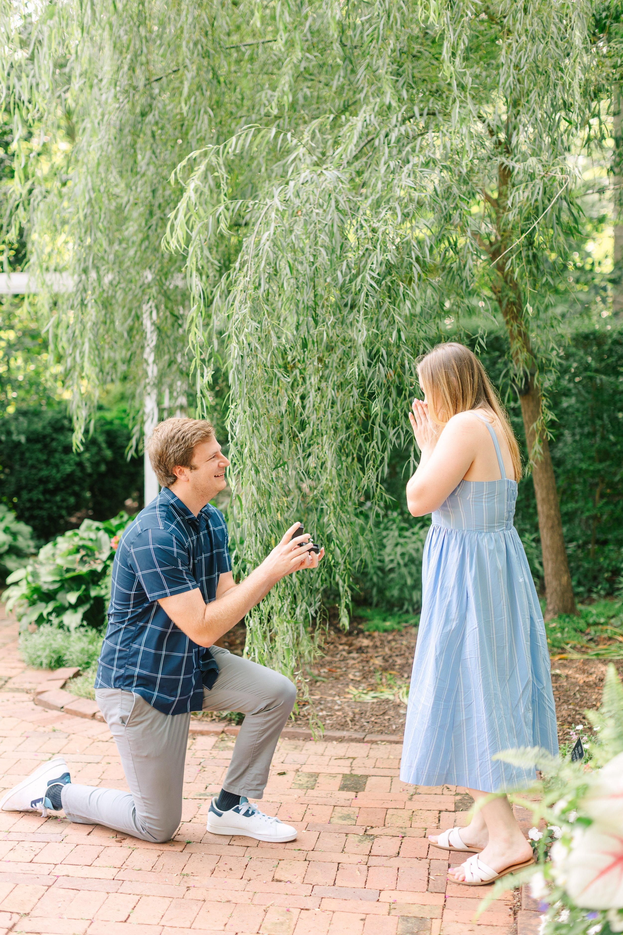  Charlie's Proposal ©  Casey Hendrickson Photography 