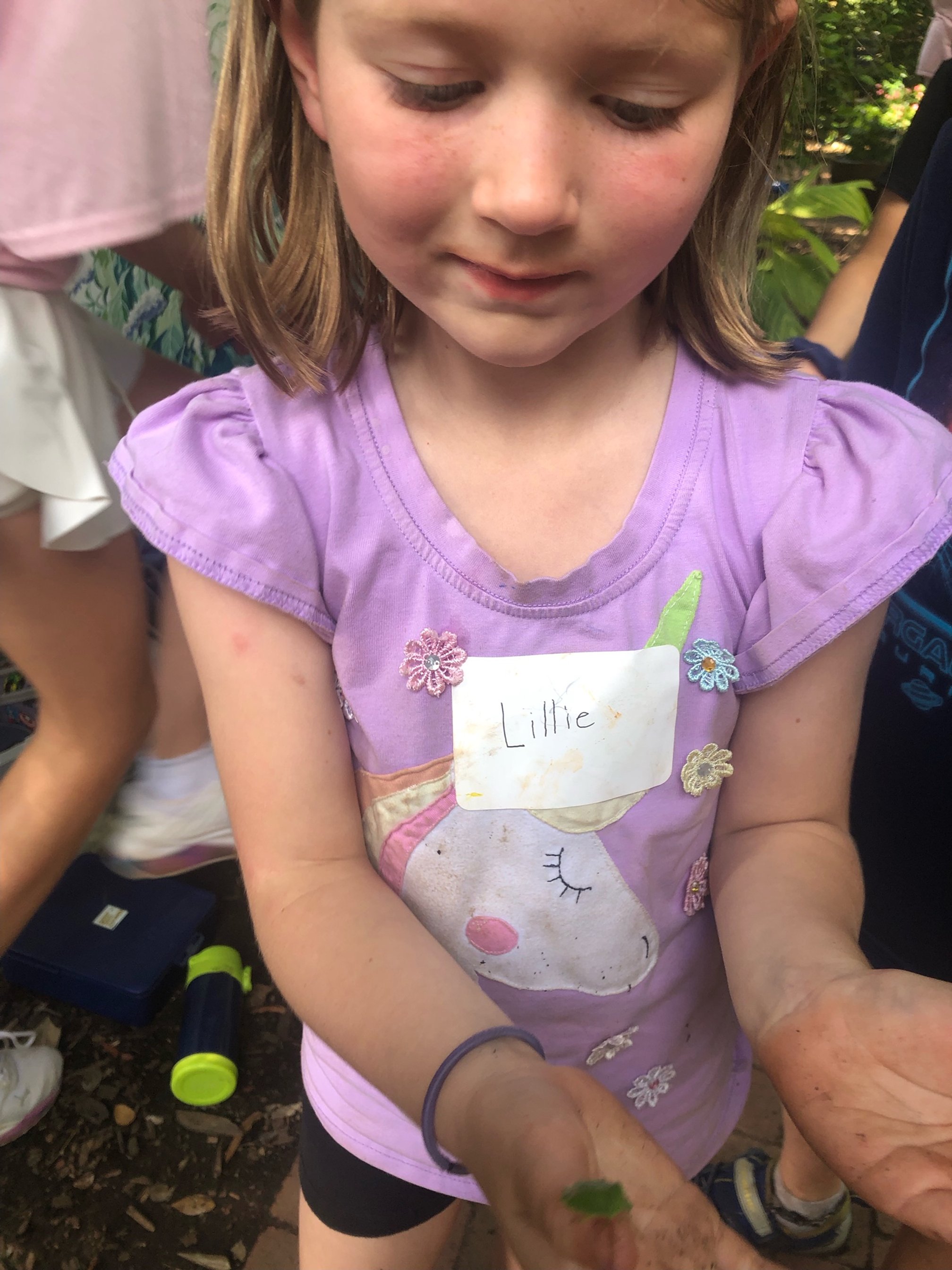 image6.jpeg