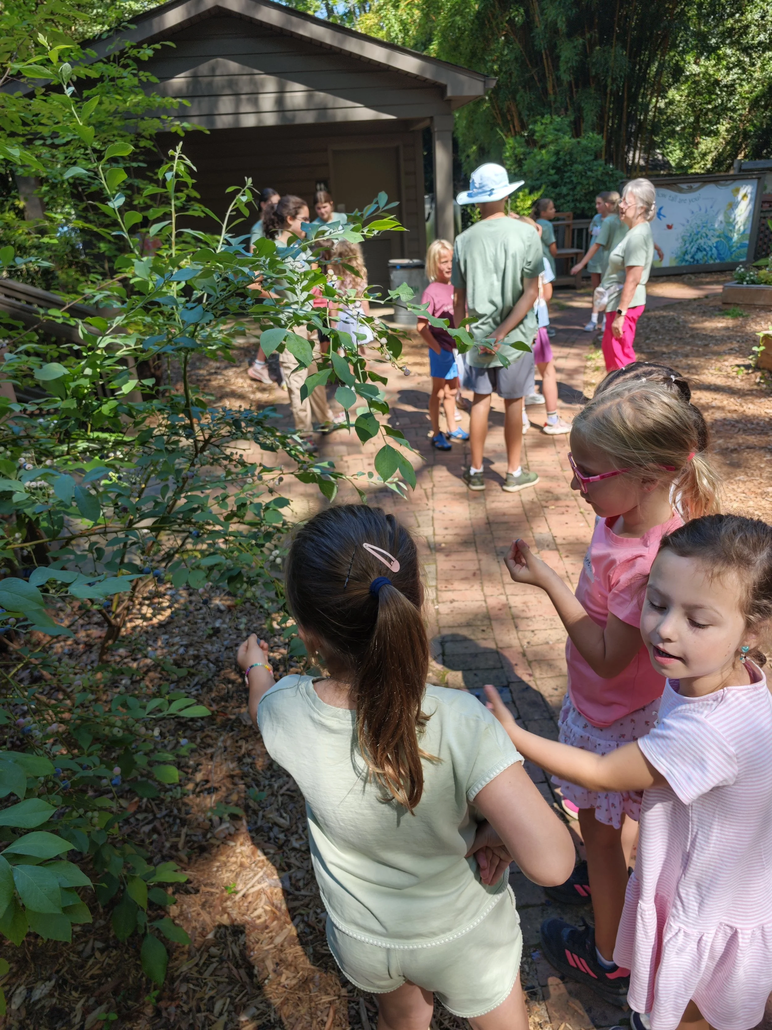 IMG_20260615_103958.jpg