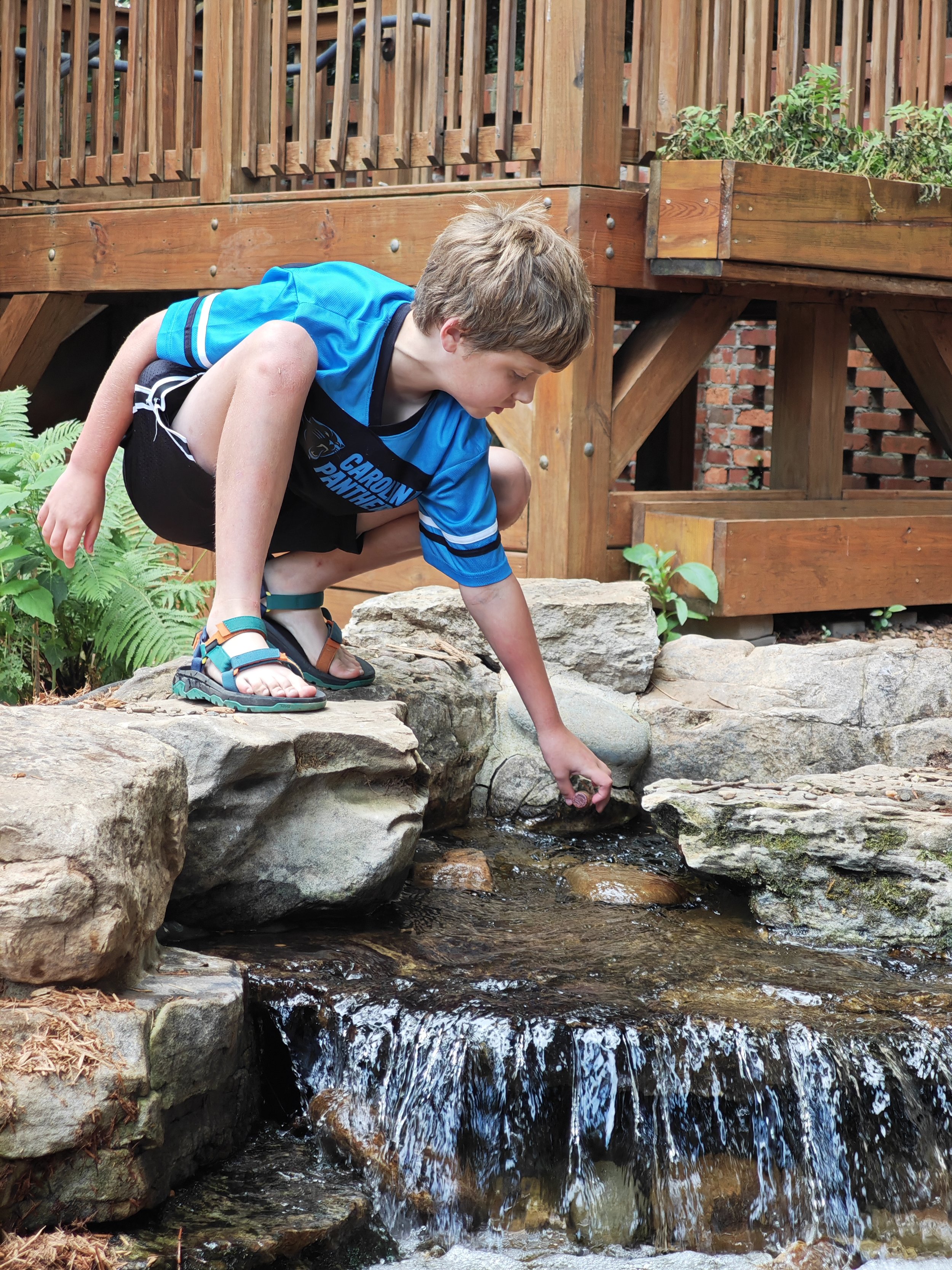 IMG_20260616_114815.jpg