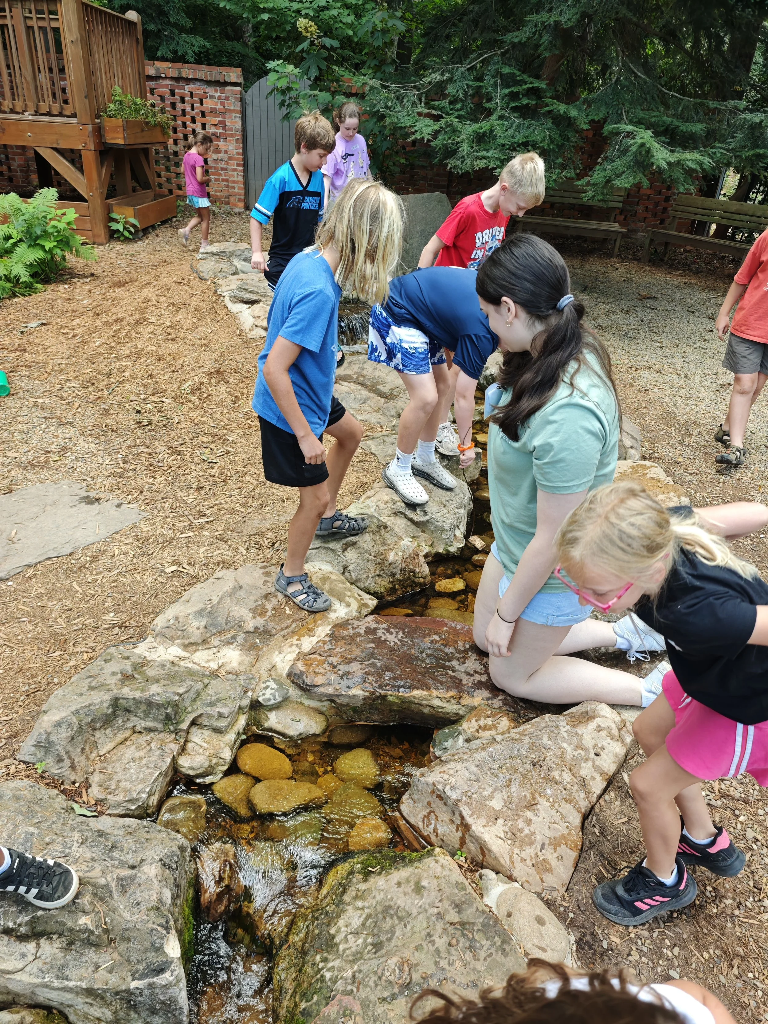 IMG_20260616_115529.jpg