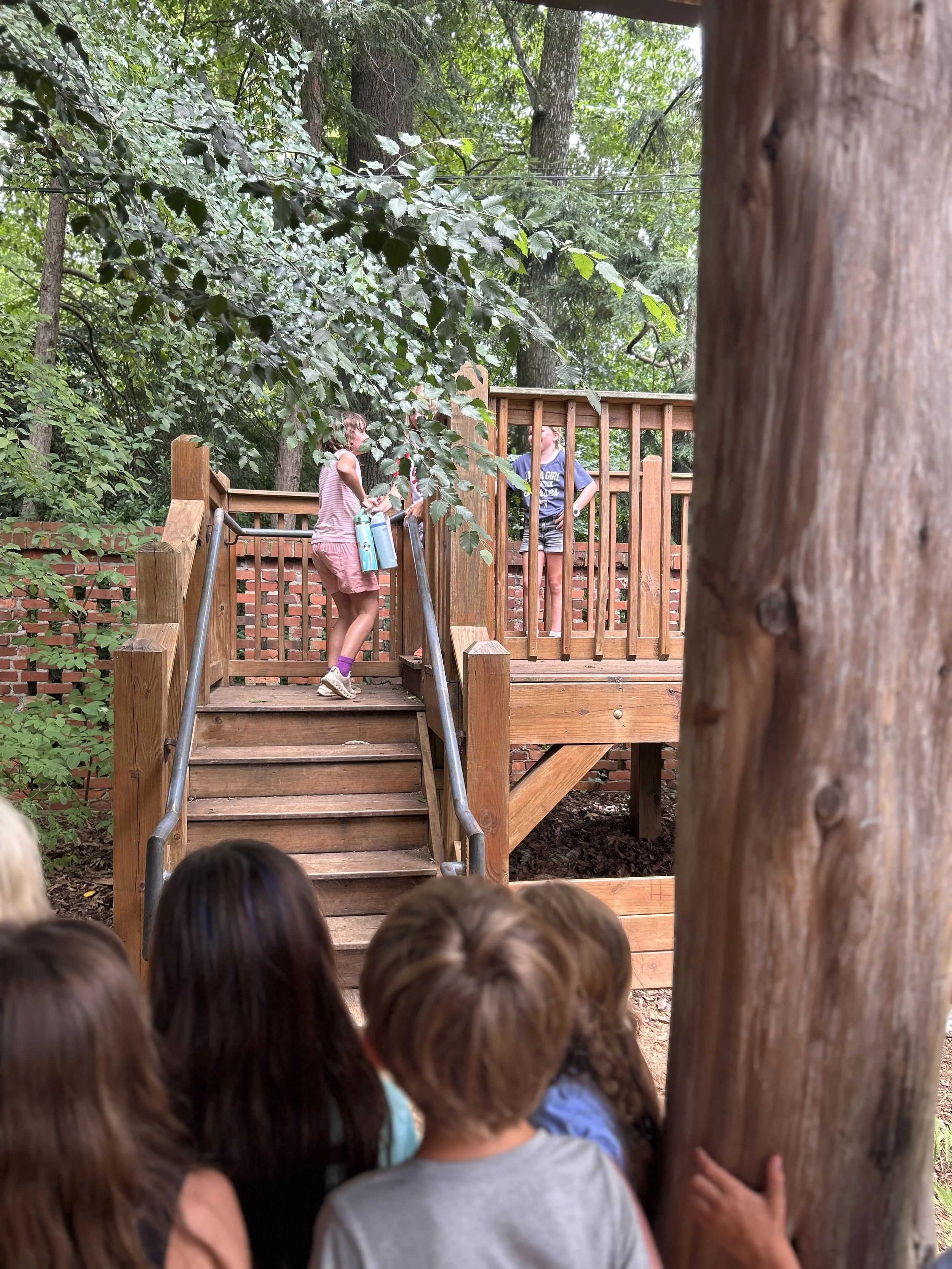 IMG_8479.jpg
