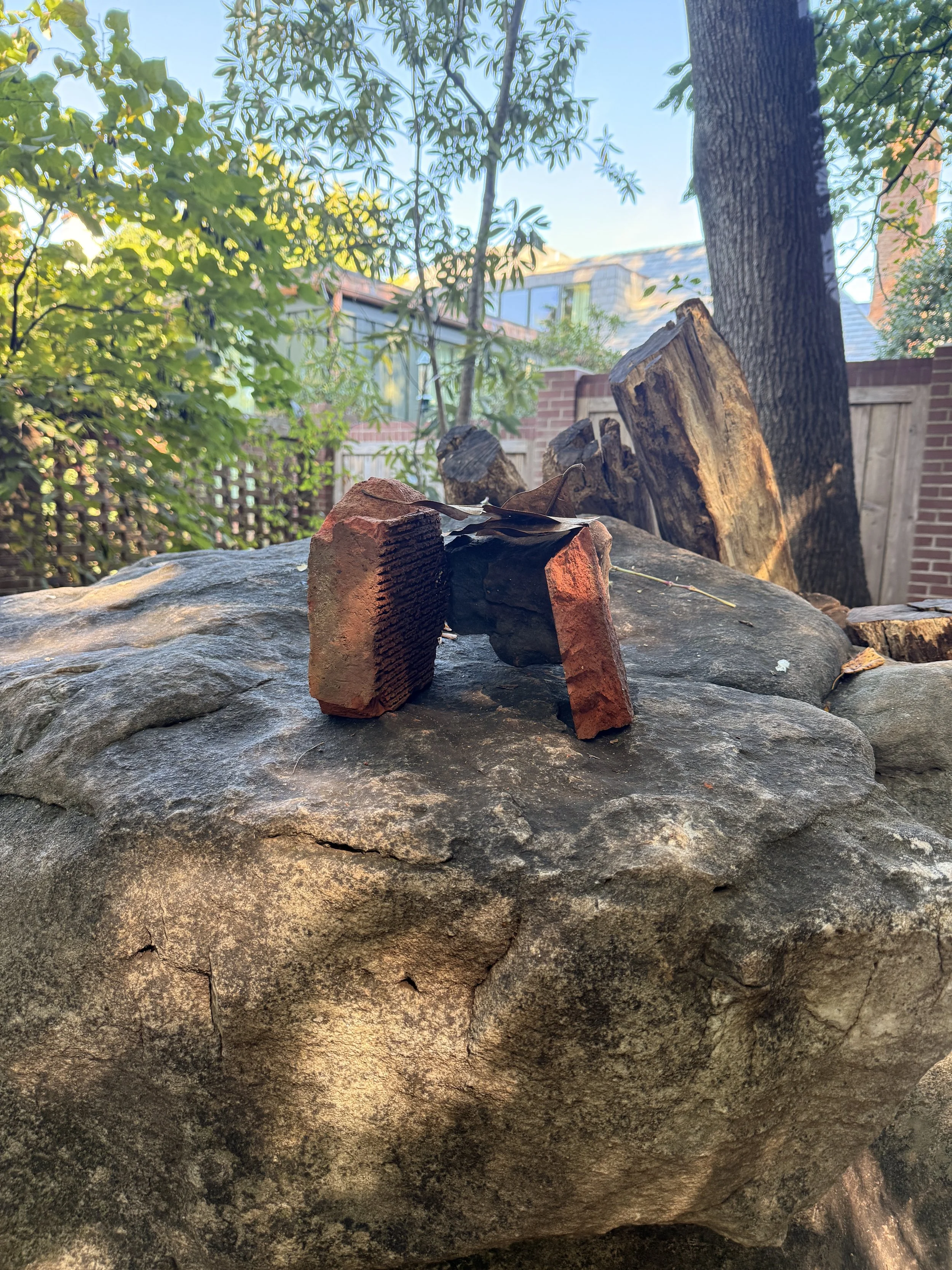 IMG_5621.JPEG