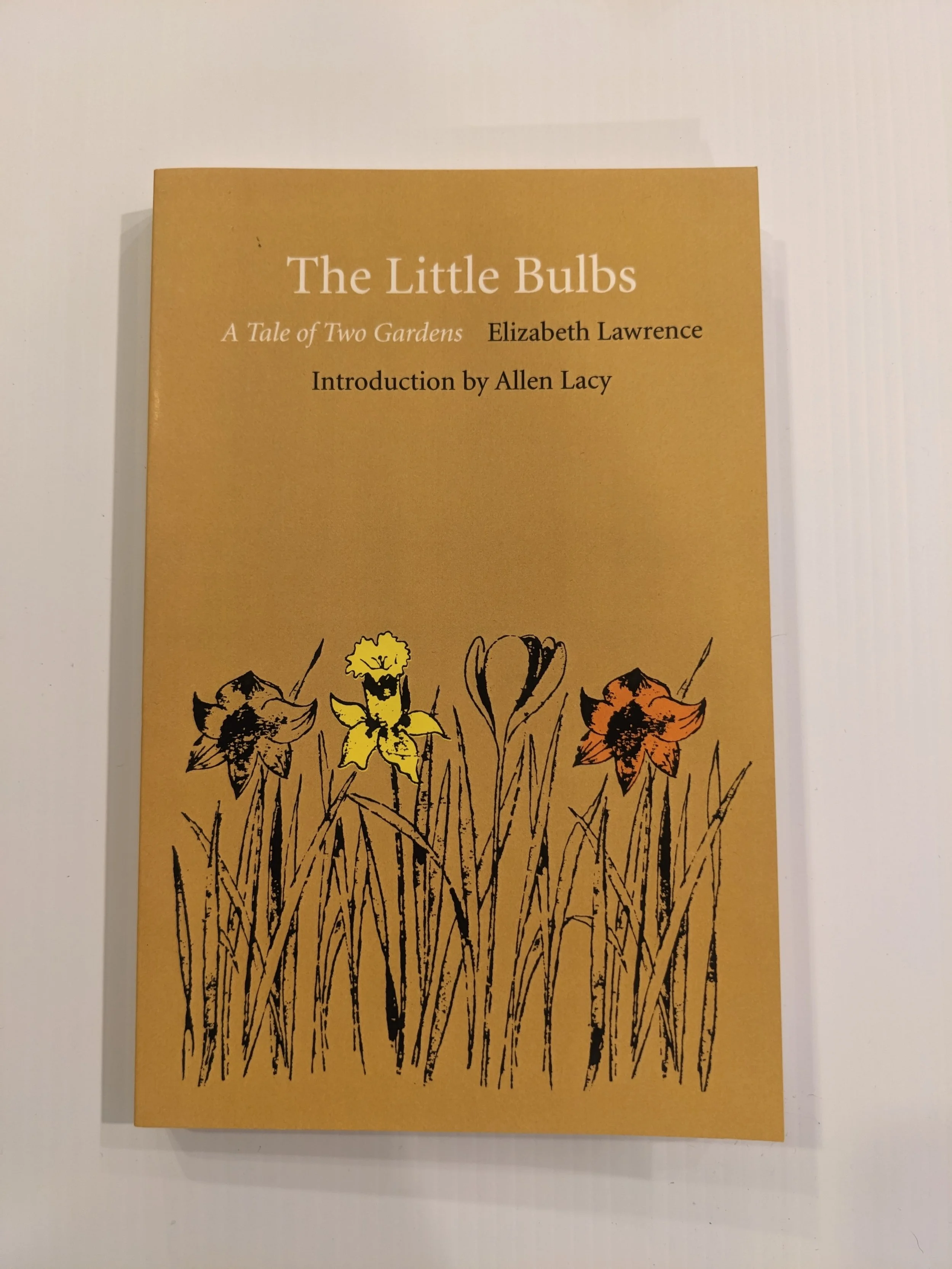 The Little Bulbs by Elizabeth Lawrence