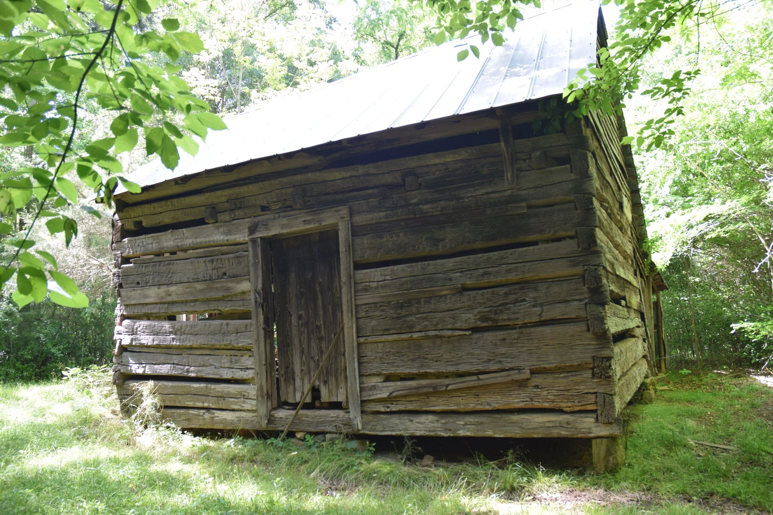 An old wooden cabin with tin roof in the woods.