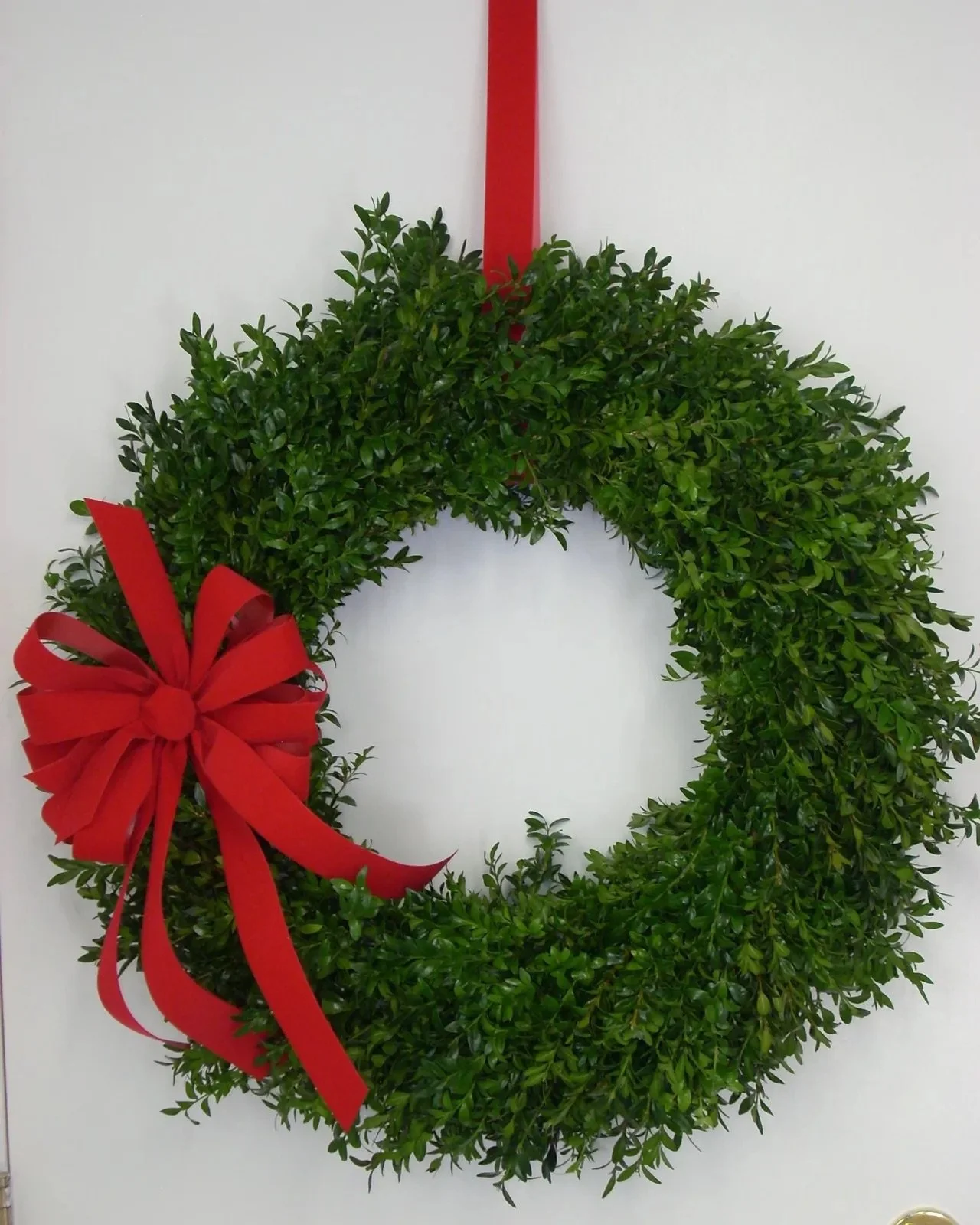 Boxwood Round Wreath