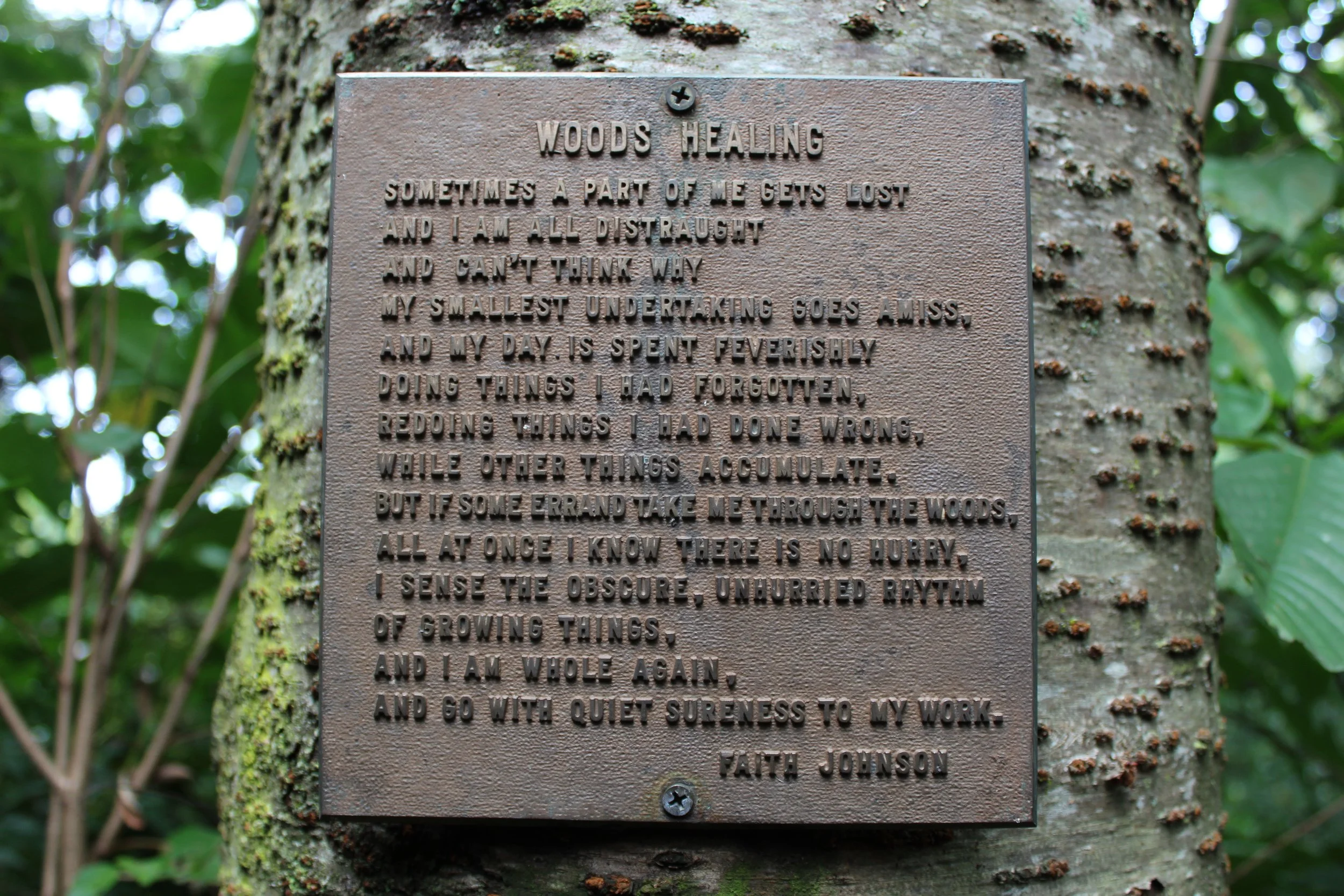 A metal plaque attached to a tree that is a poem titled "Woods Healing"