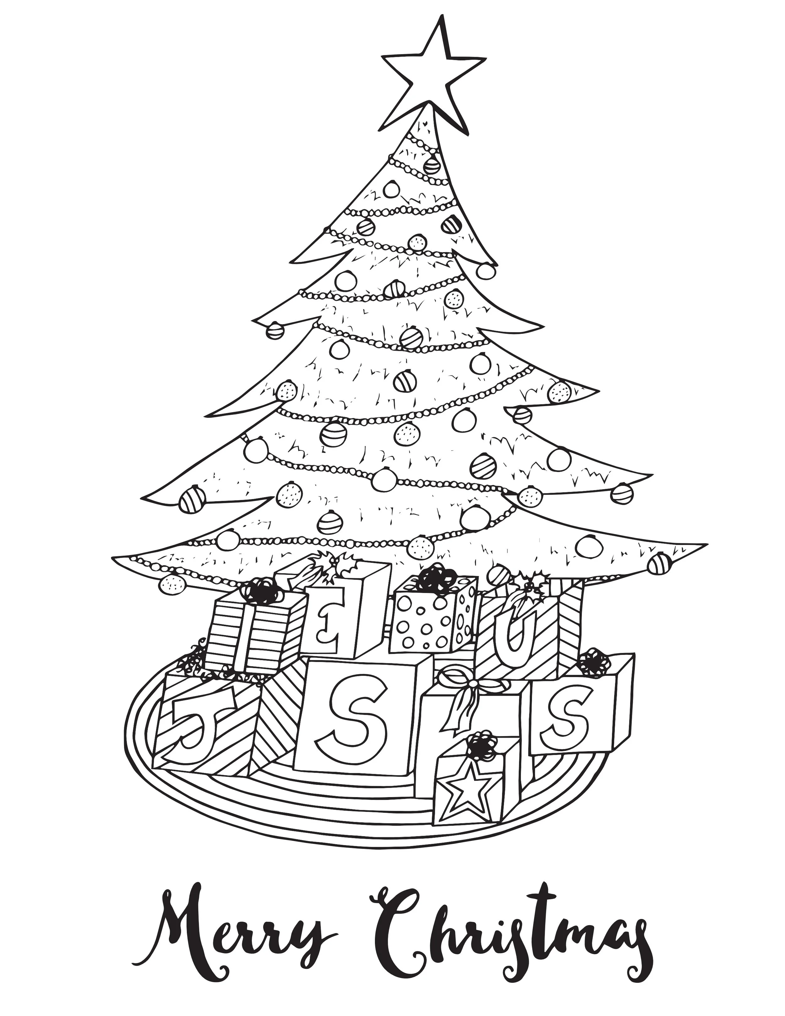 Merry Christmas .jpg