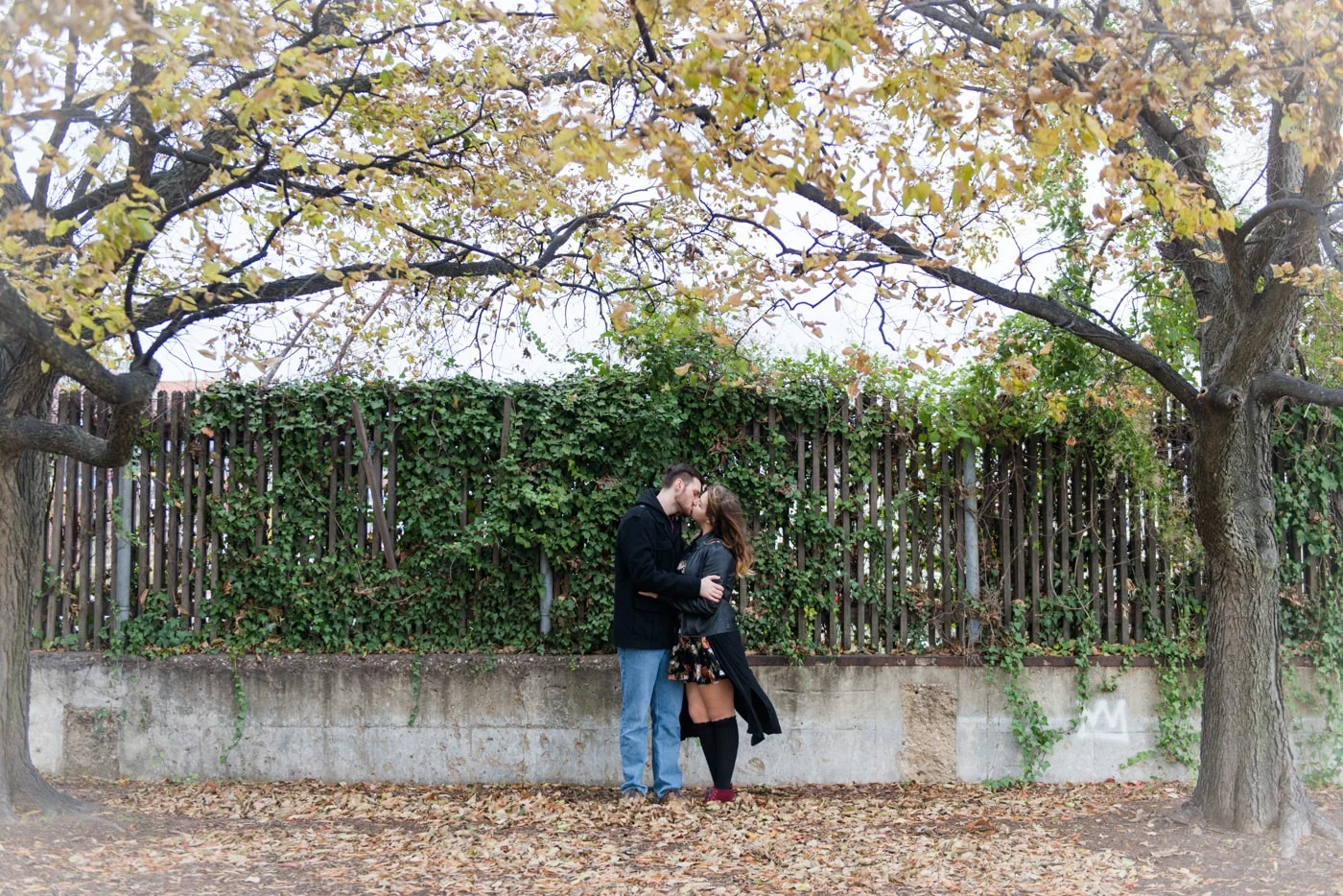 A young couple kiss next to an ivy fence in Old Town Alexandria
