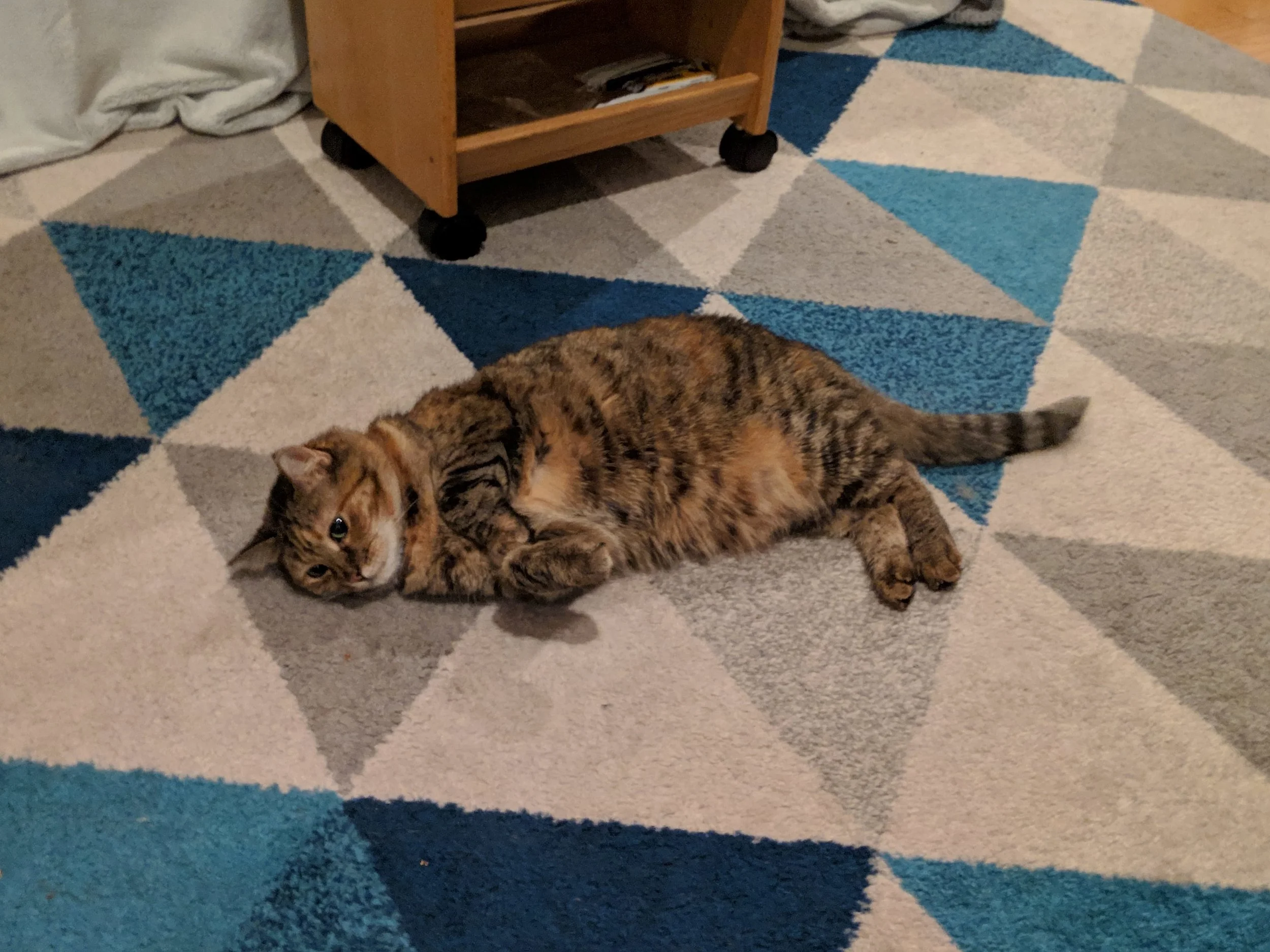 Taken on a Pixel 3 with night mode