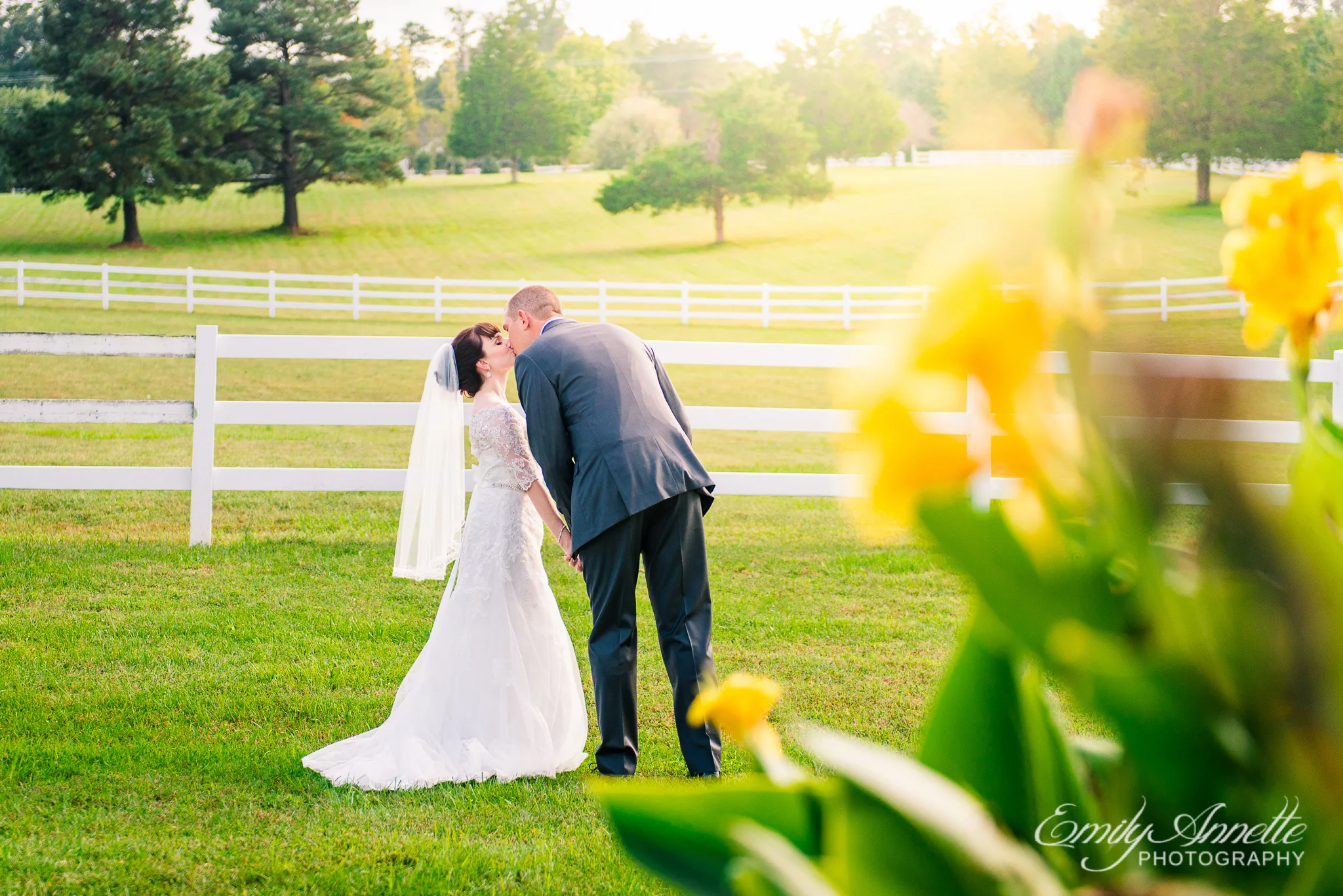 A bride and groom kiss at golden hour during their country wedding at Amber Grove near Richmond, Virginia