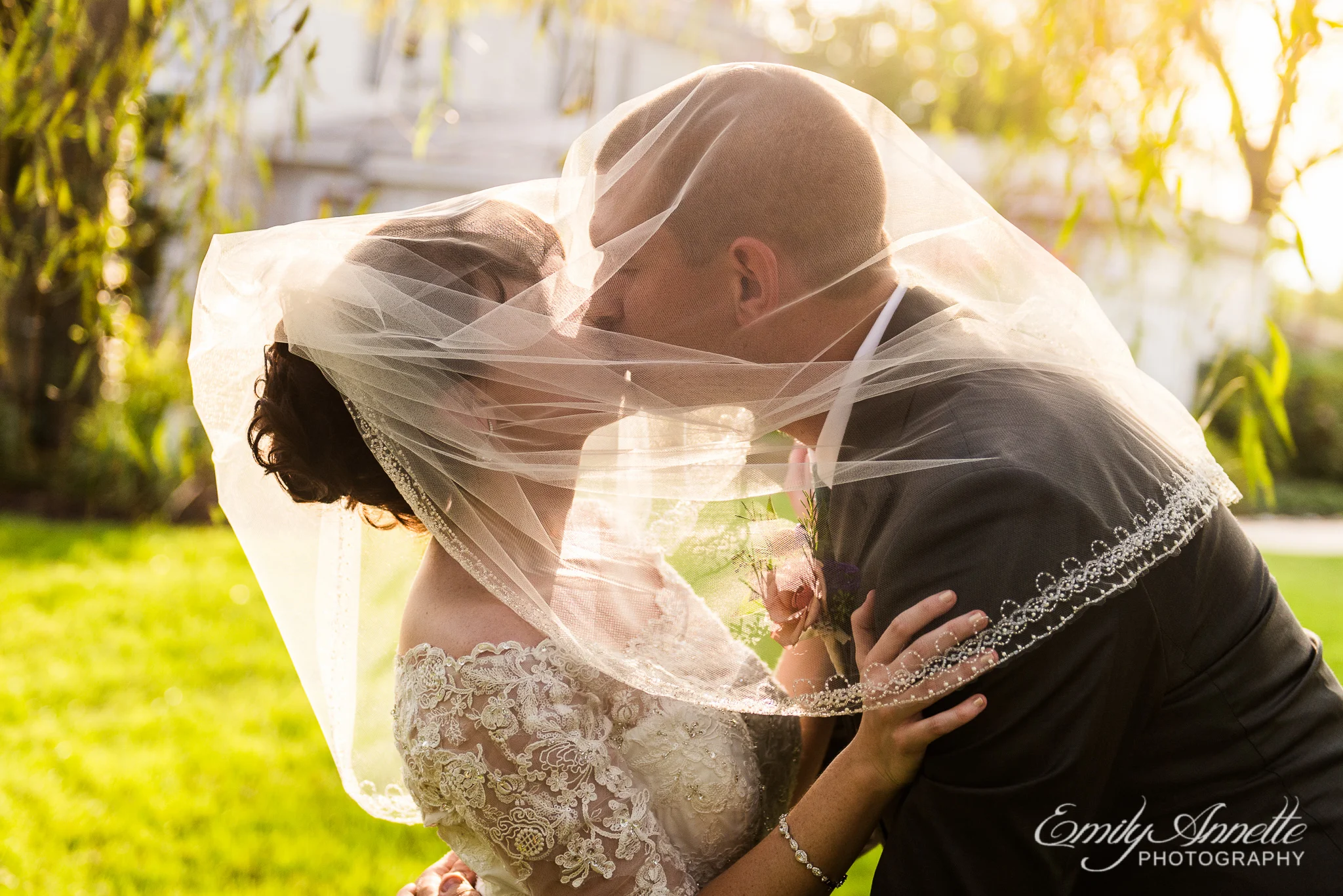 A bride and groom share a kiss under the bridal veil during golden hour after their country wedding at Amber Grove near Richmond, Virginia