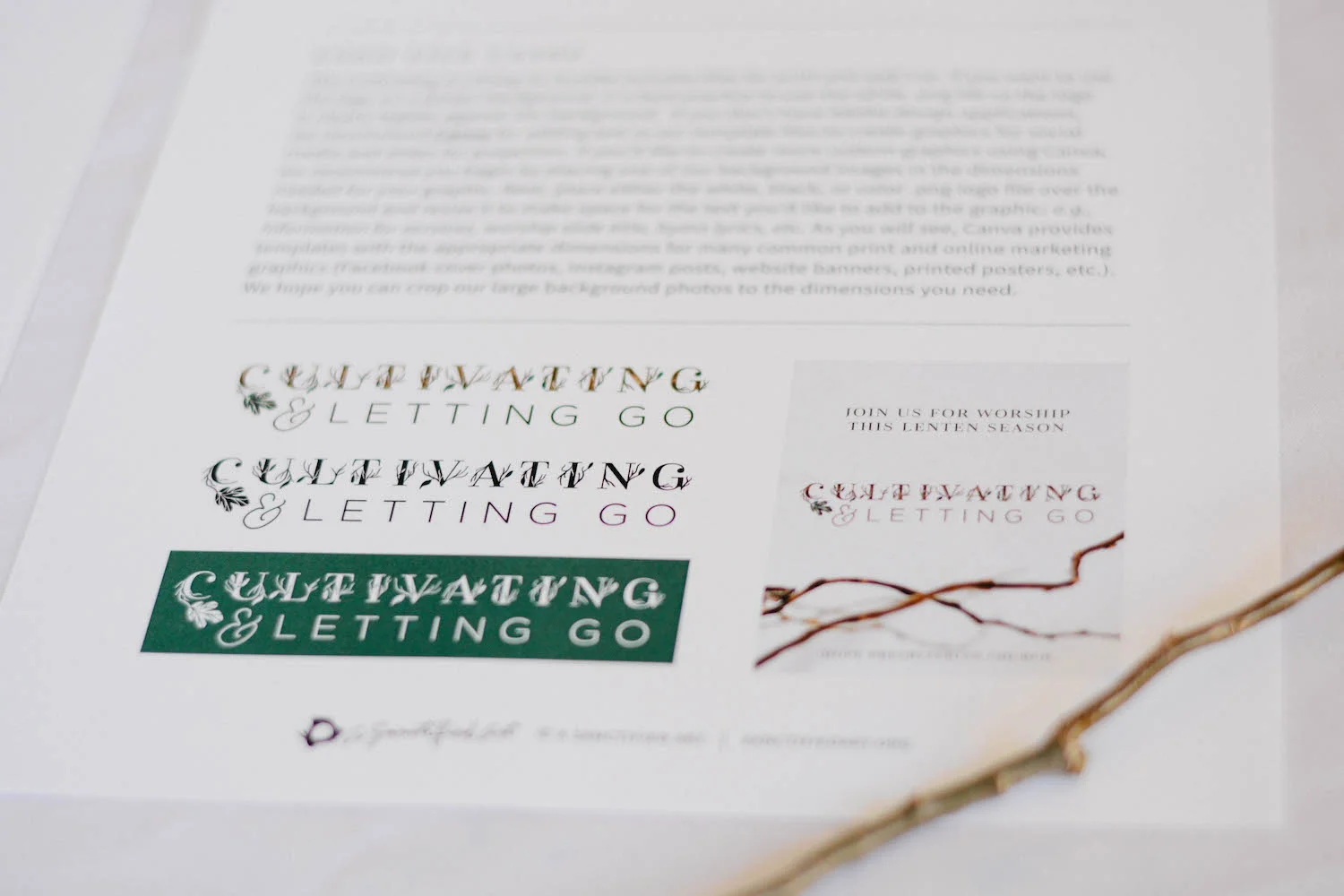 cultivating_letting_go_branding-3.jpg