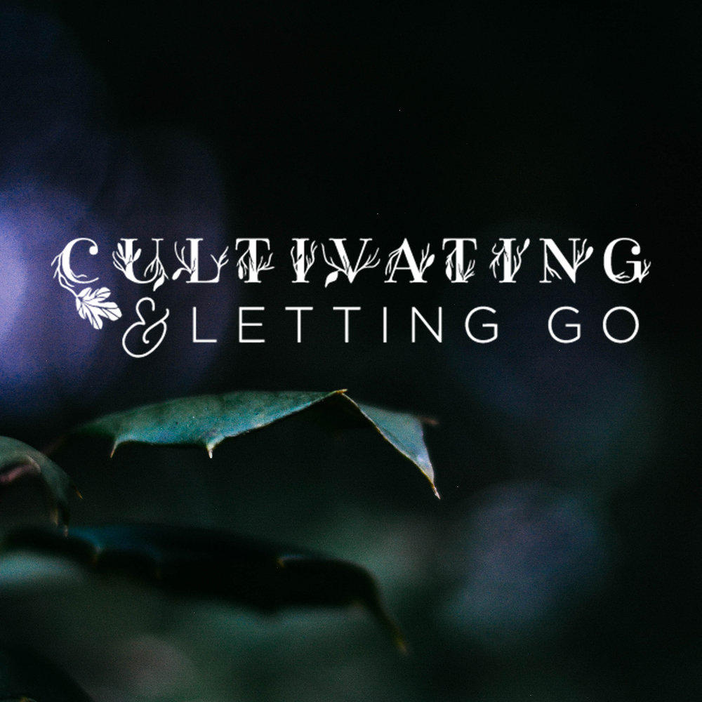 Cultivating & Letting Go Branding Bundle